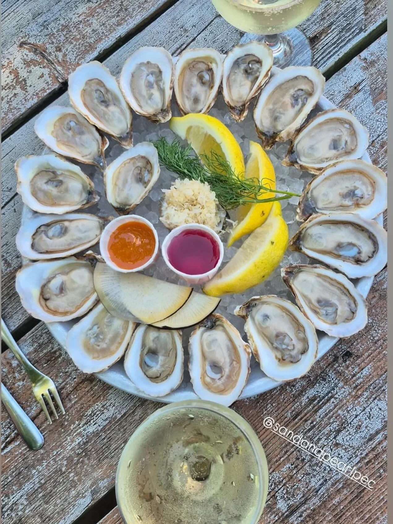 Bubbles &amp; Bivalves

Open Noon to 9pm
Wednesday through Sunday Supper