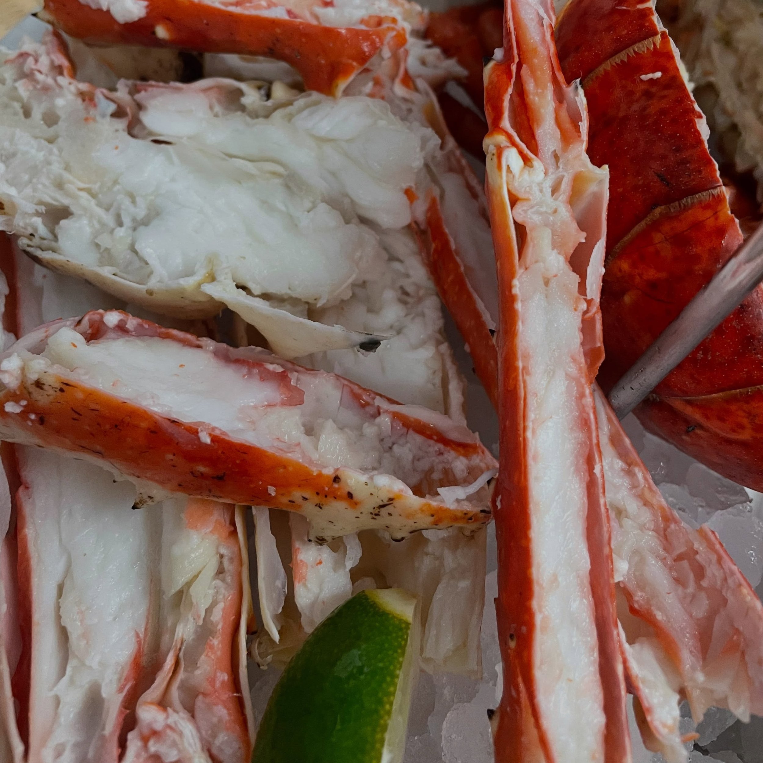 King 👑 Crab getting close to a lobster&hellip;