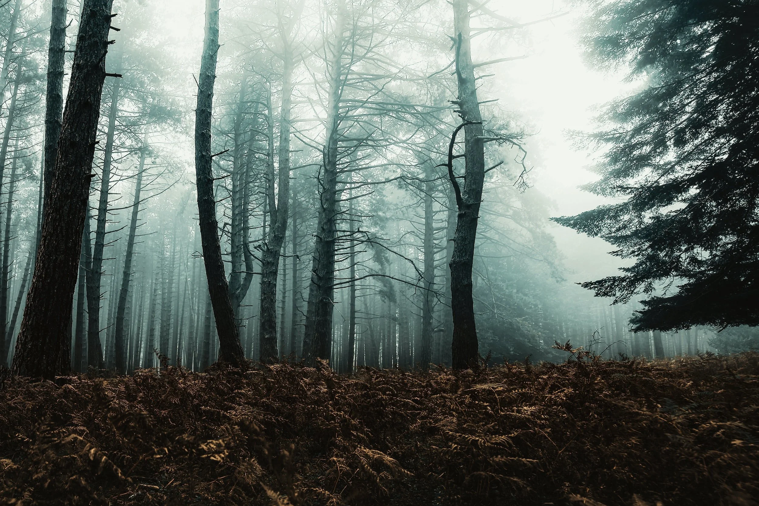 unsplash-image-FqJ94z706I0.jpg