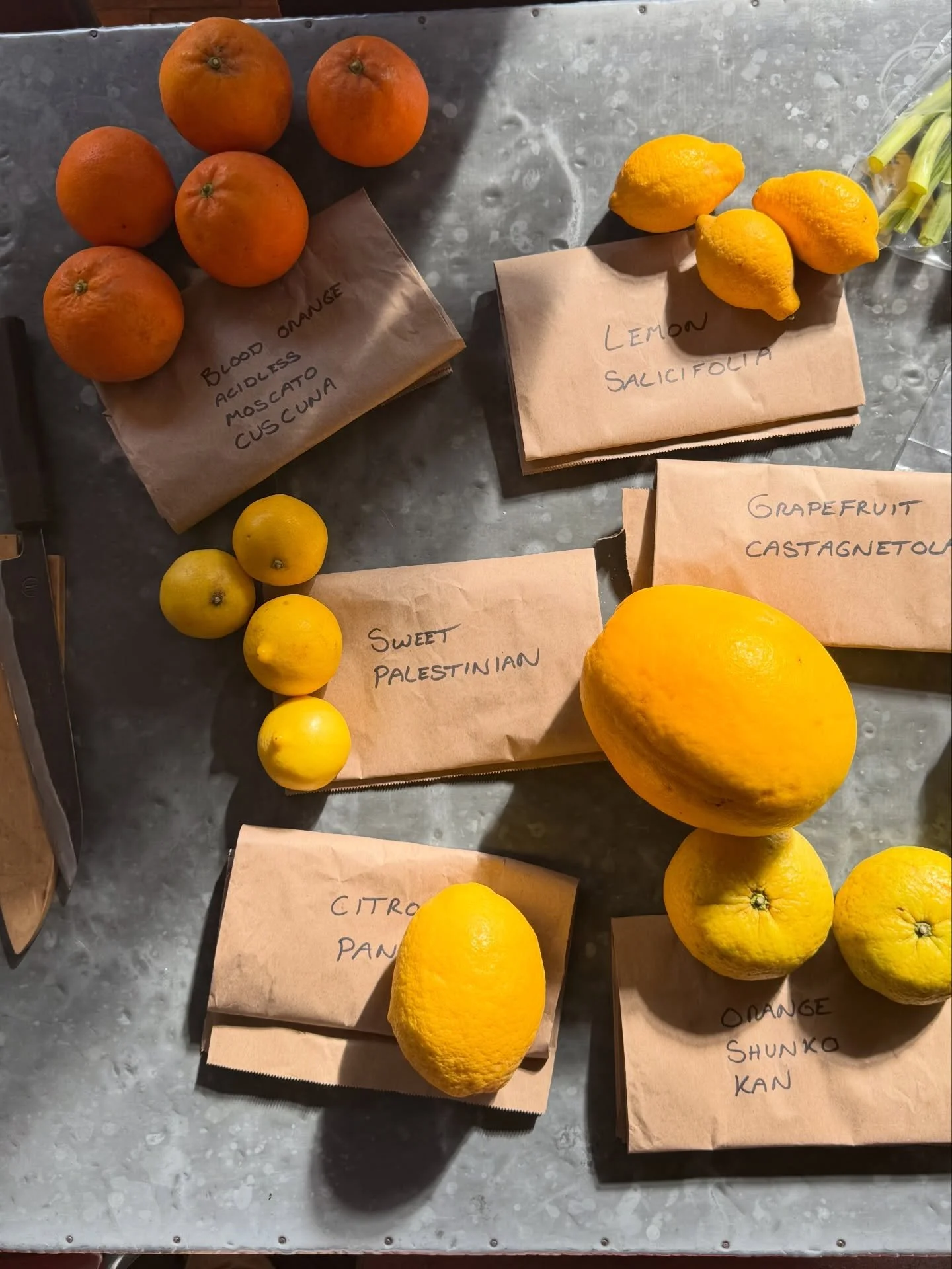 An impromptu tasting of some new season produce with Harry, co-founder of Shrub. Hosted by our friends at @bayte_stleonards 

@todolicitrusfundacio 
@nutbournetomato 
@jerseyroyals 
@baddafordcollective 
@fluxfermentation 
@lainesorganicfarm 

We&rsq