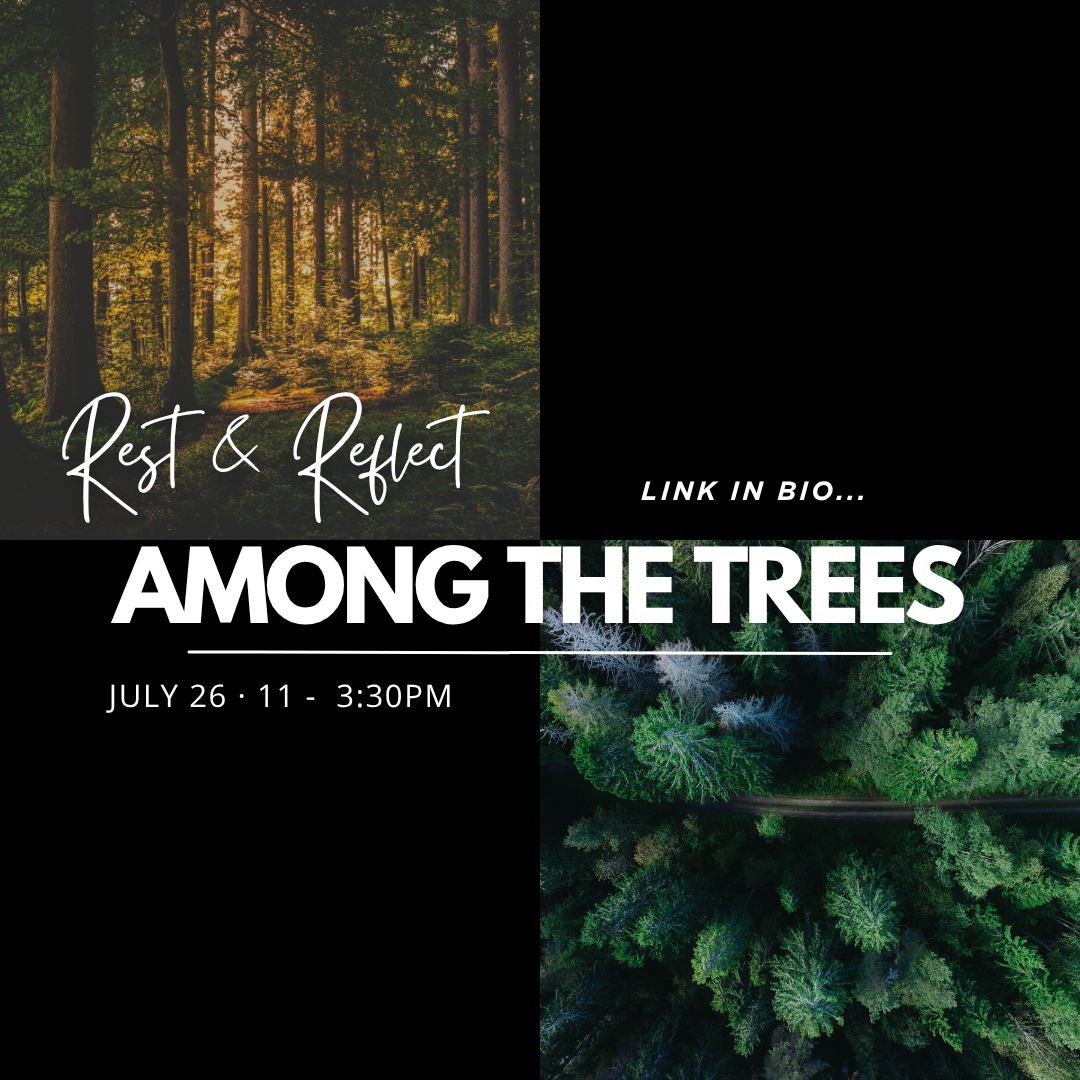 Rest & Reflect Among The Trees