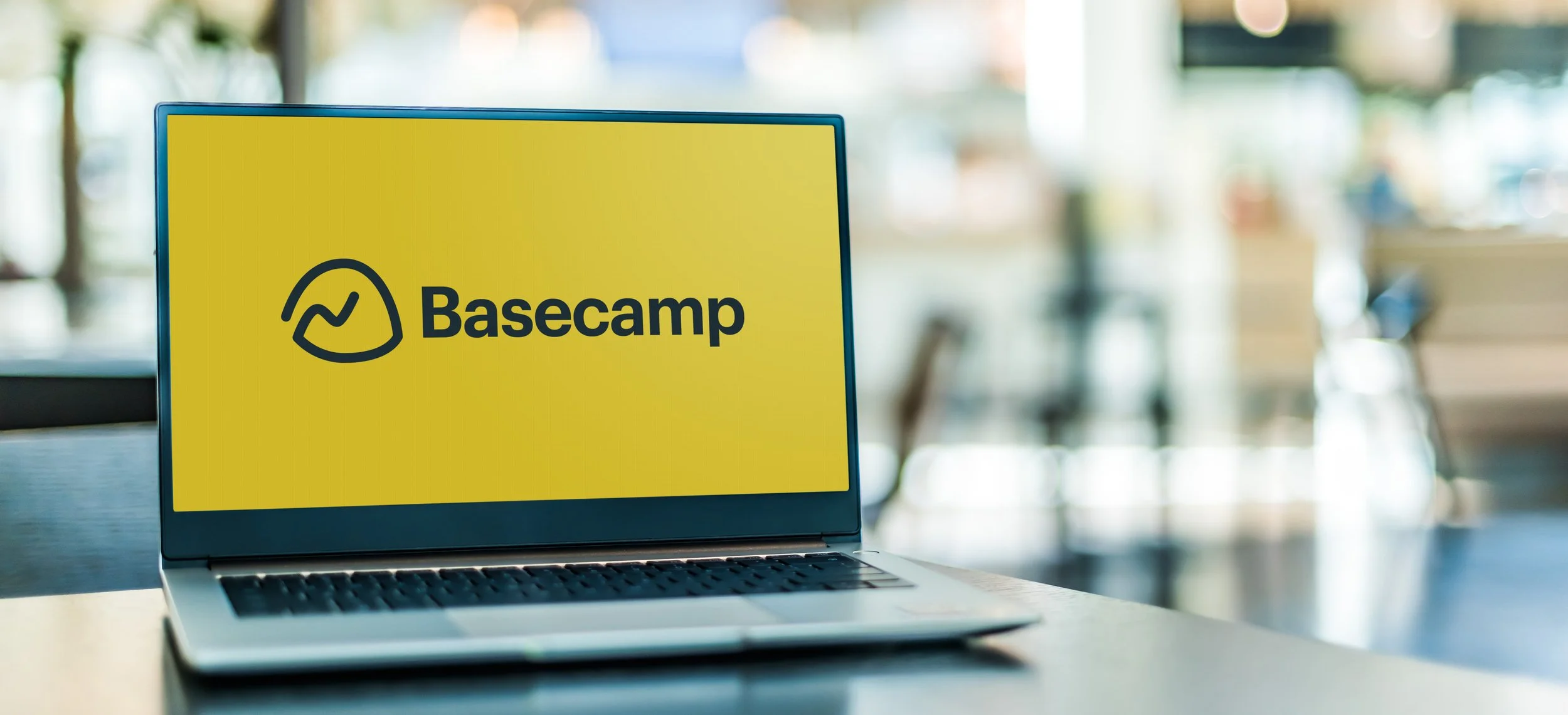 Entrepreneurial Pathways