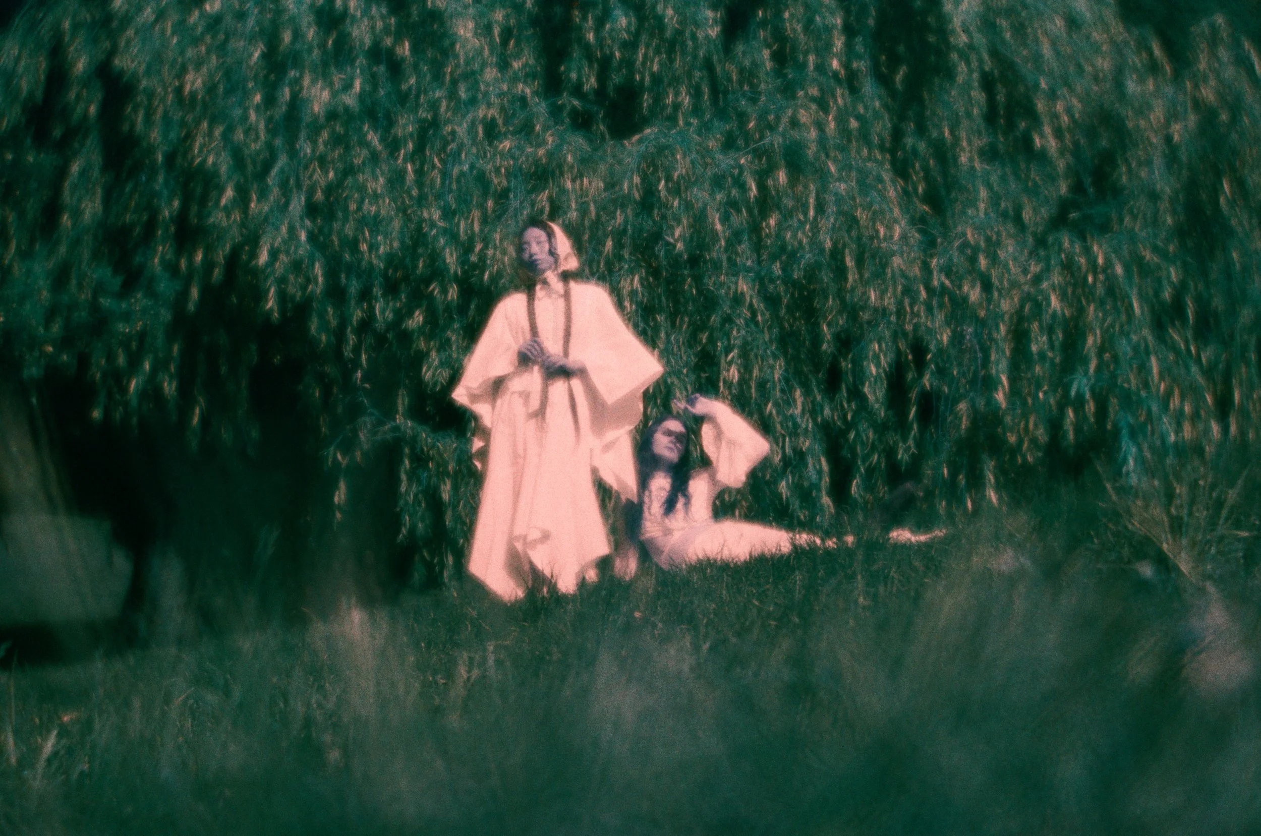 2WILLOW_000051500016_web.jpg