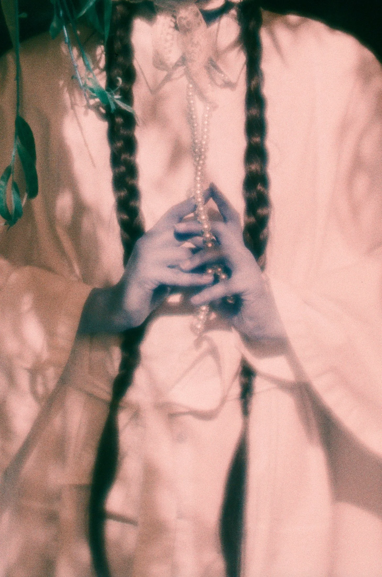 2WILLOW_000051500024_web 1.jpg