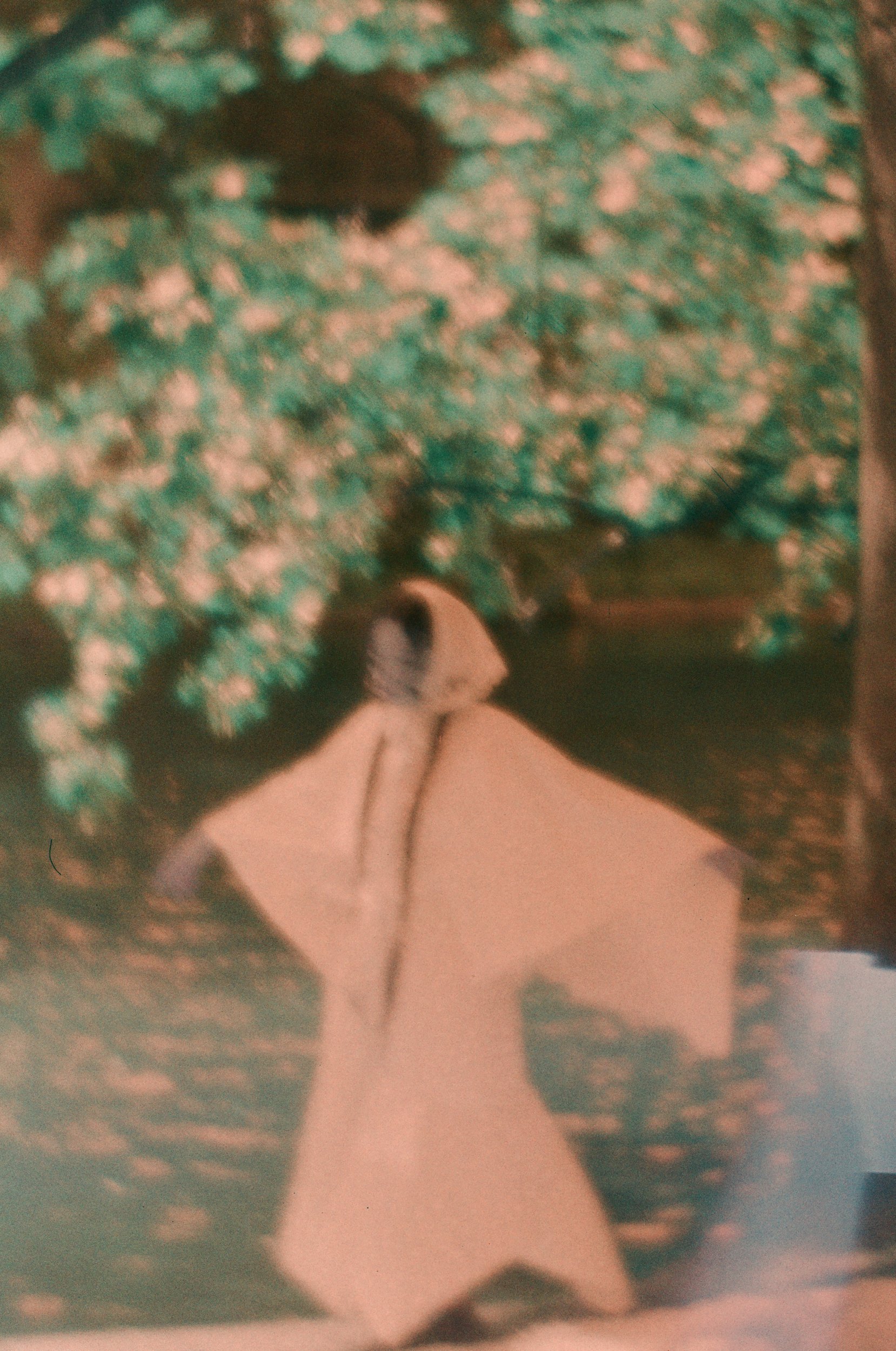 1LAC_000051500002_web.jpg