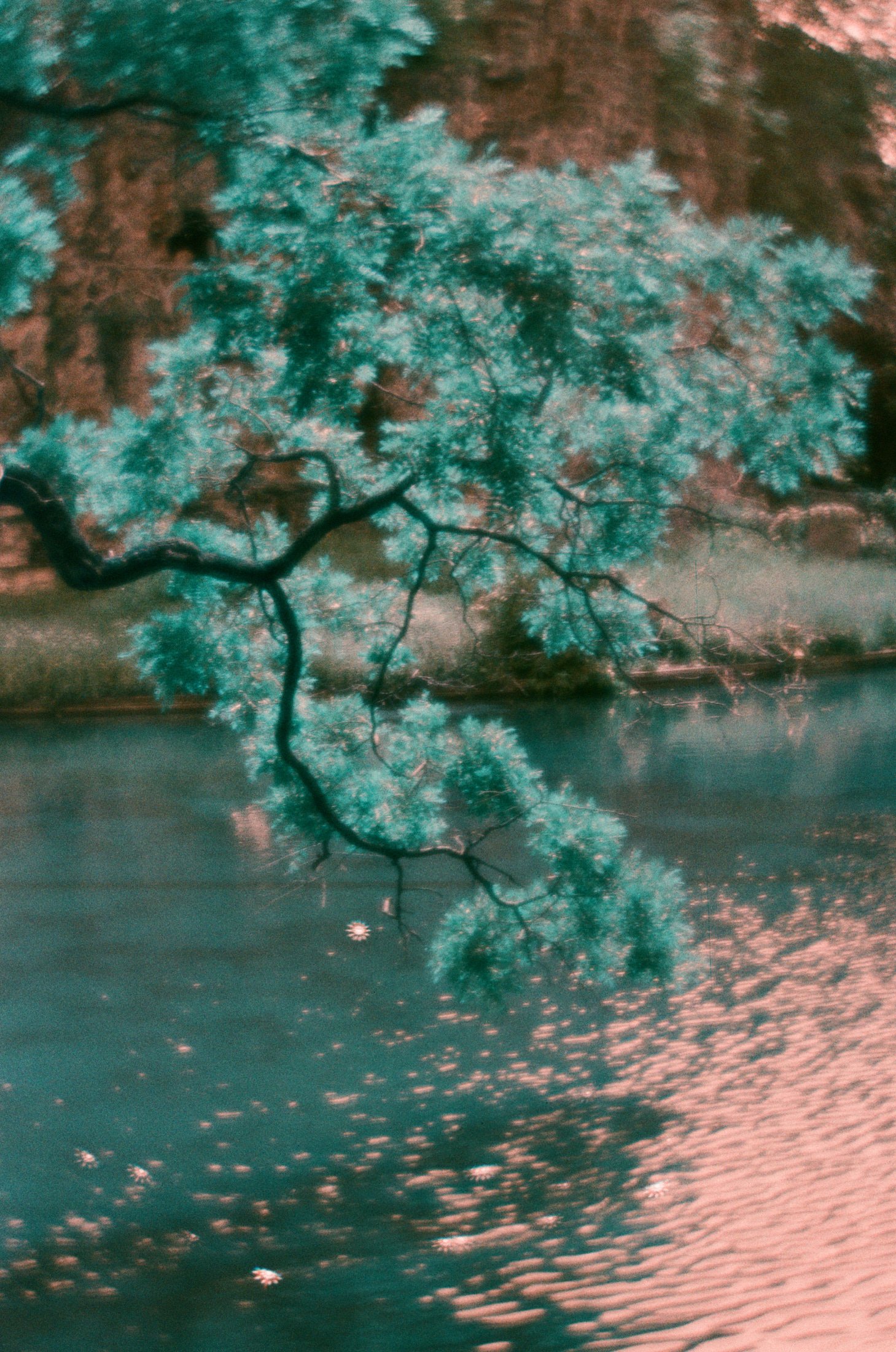 AMBIANCE_000051510011_websmall.jpg