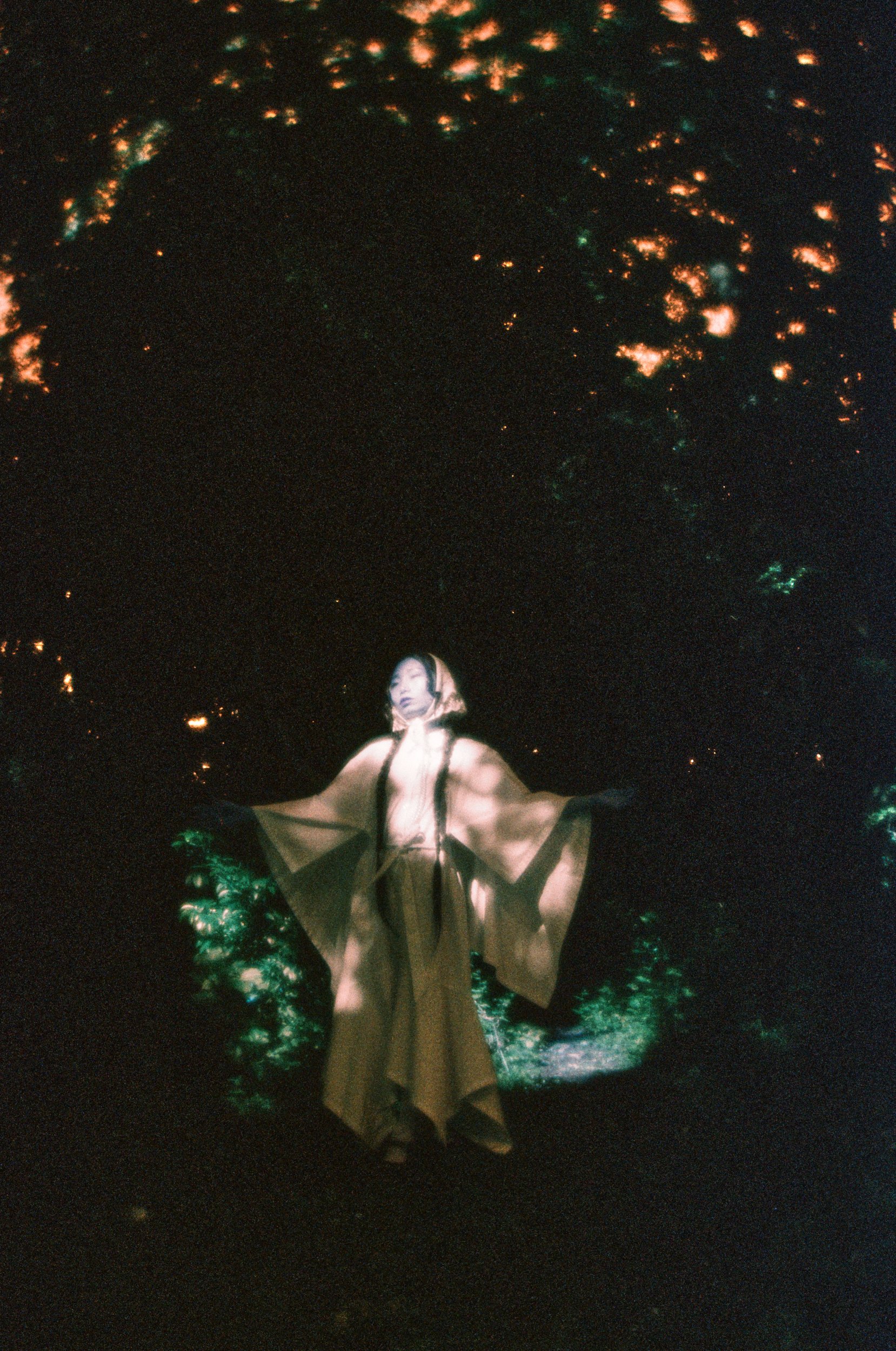 FOREST_000051500033_web.jpg