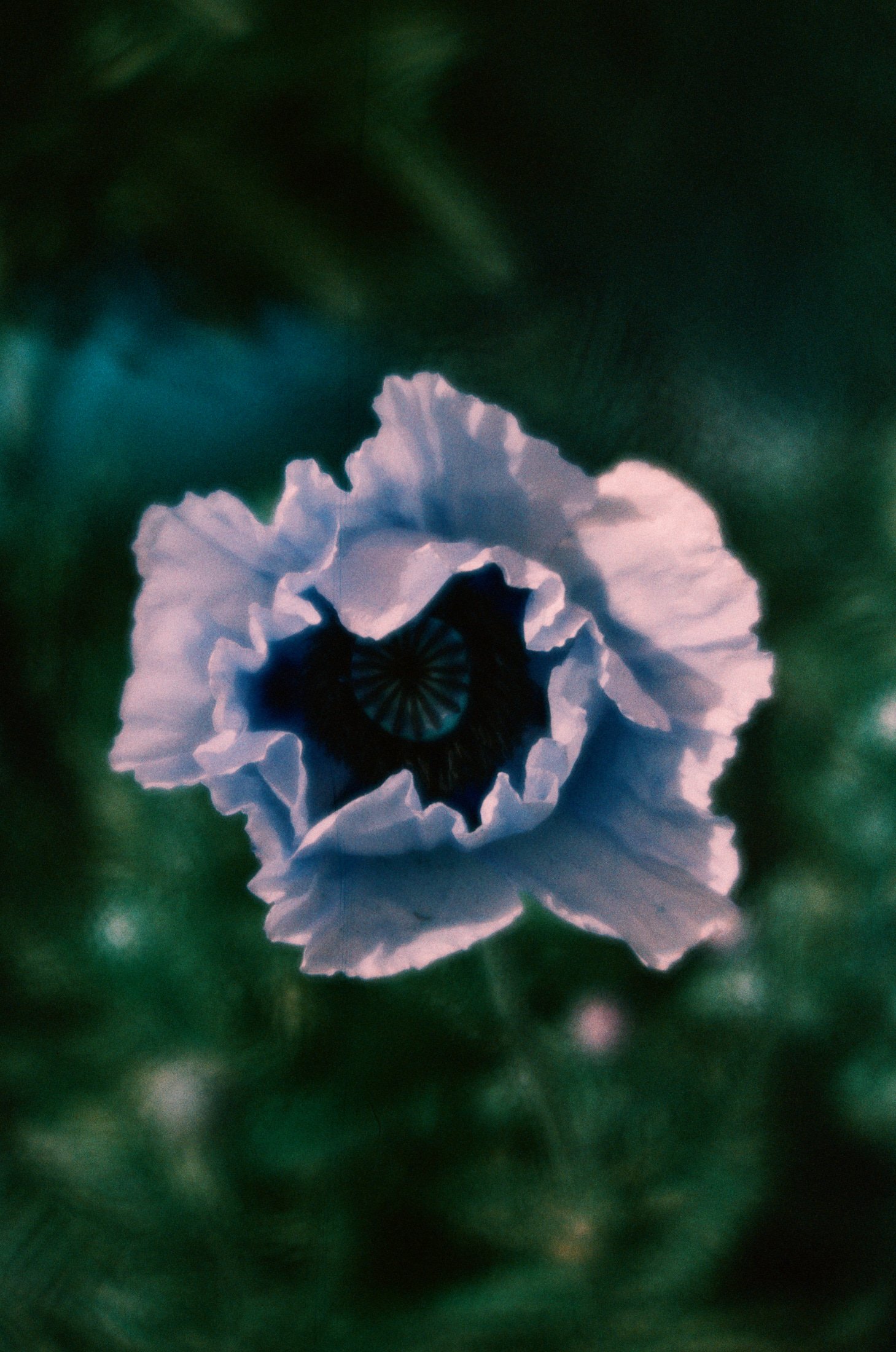 000051510005small.jpg