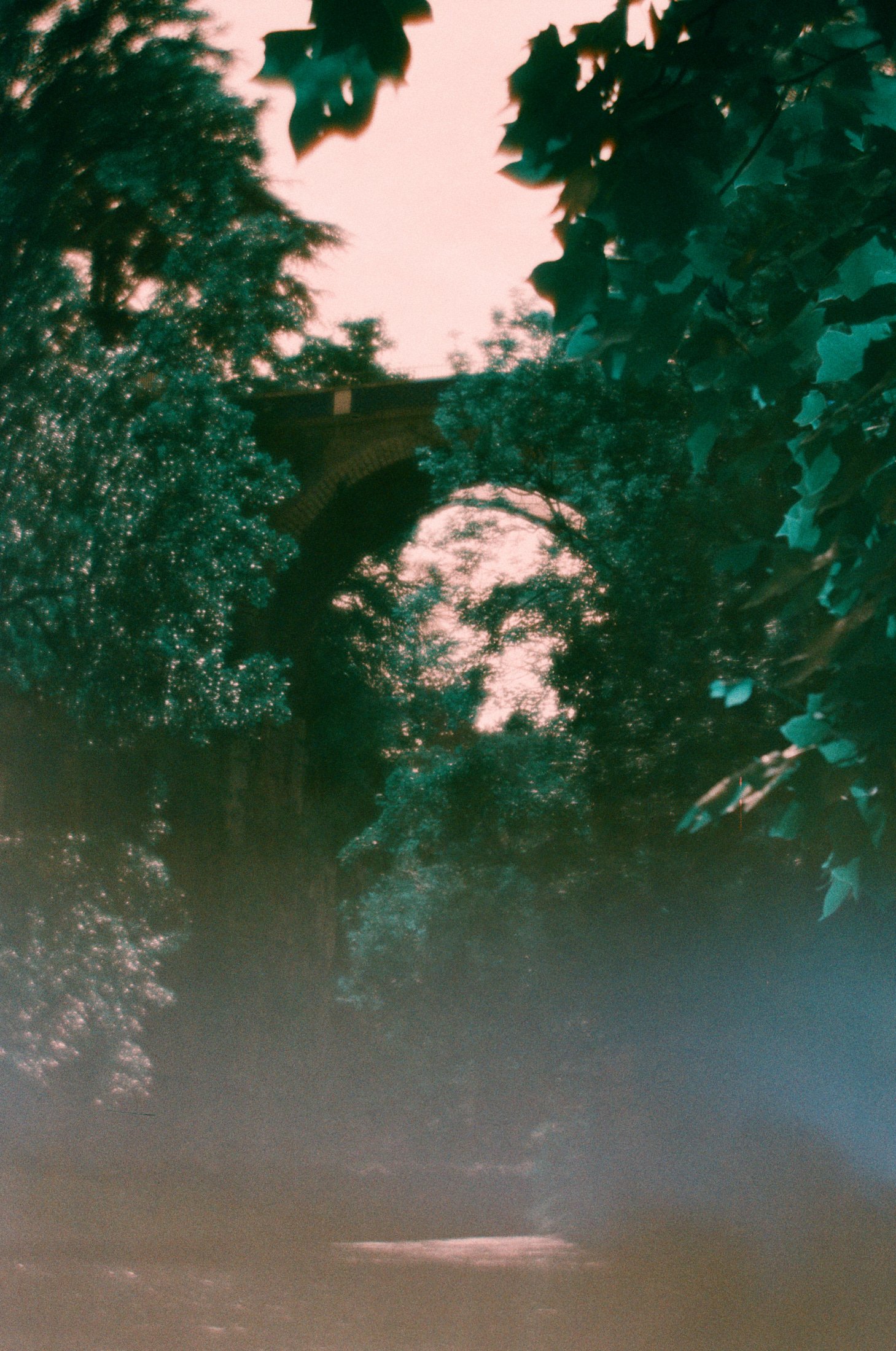 AMBIANCE_000051510014_websmall.jpg