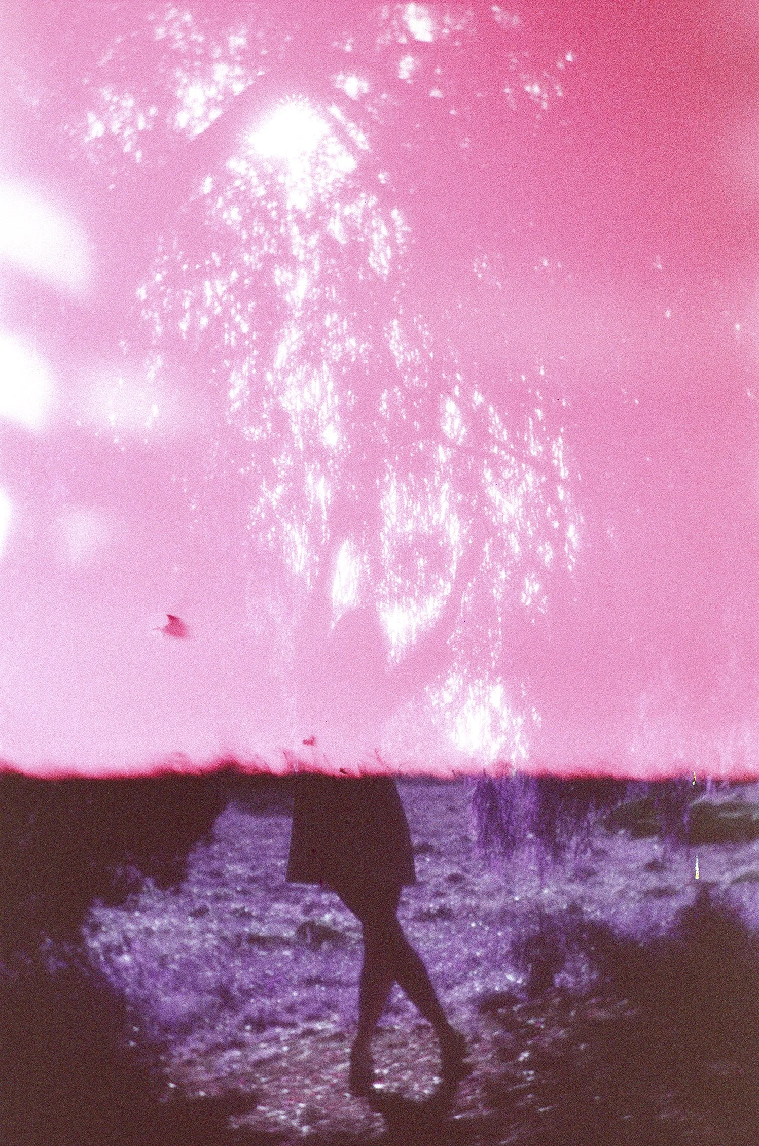 PINKPARK_MELODYARTWORK_000057570031_WEB.jpg