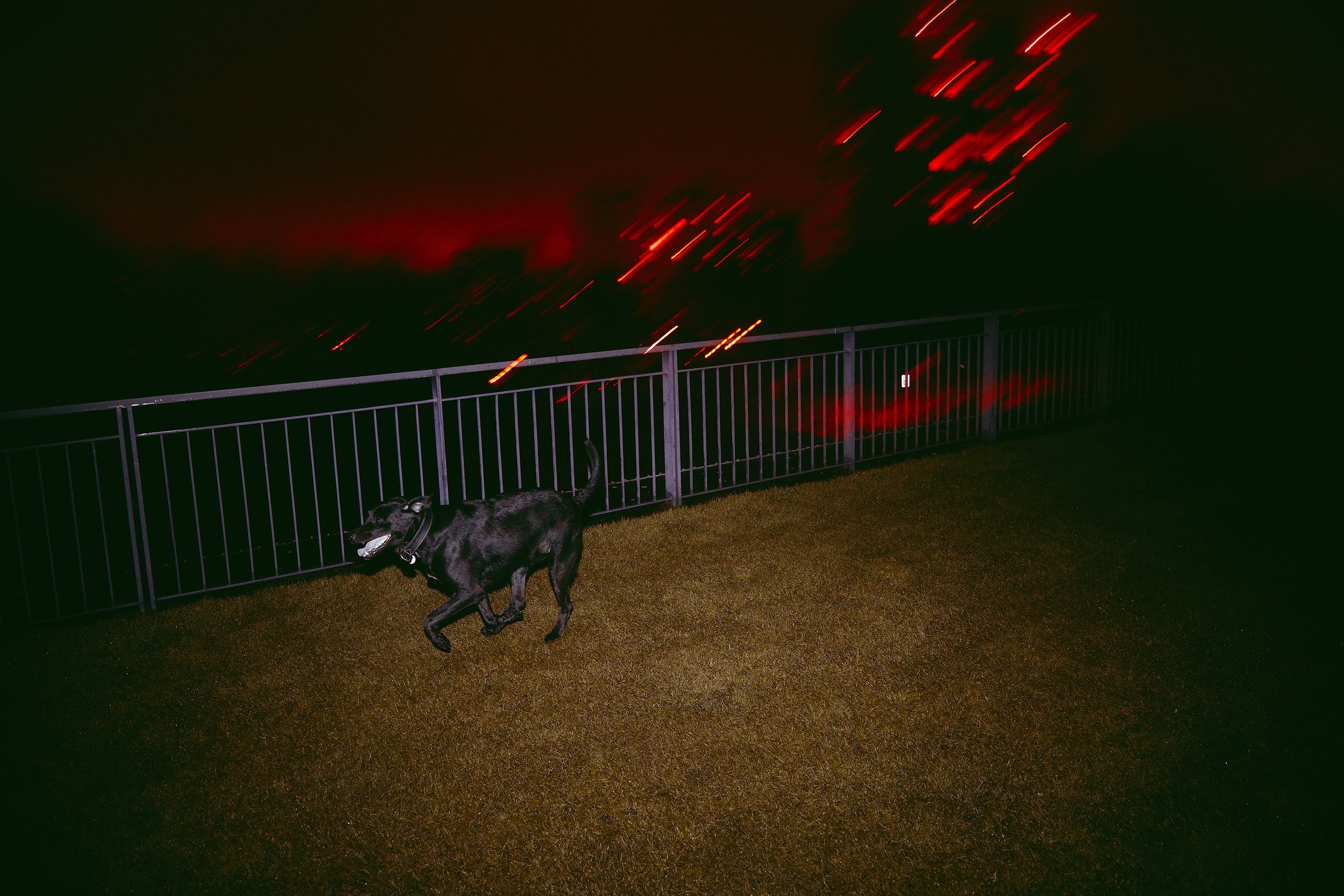 0Y8A5981_web.jpg