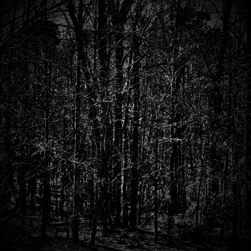 TOUR — Demun Jones