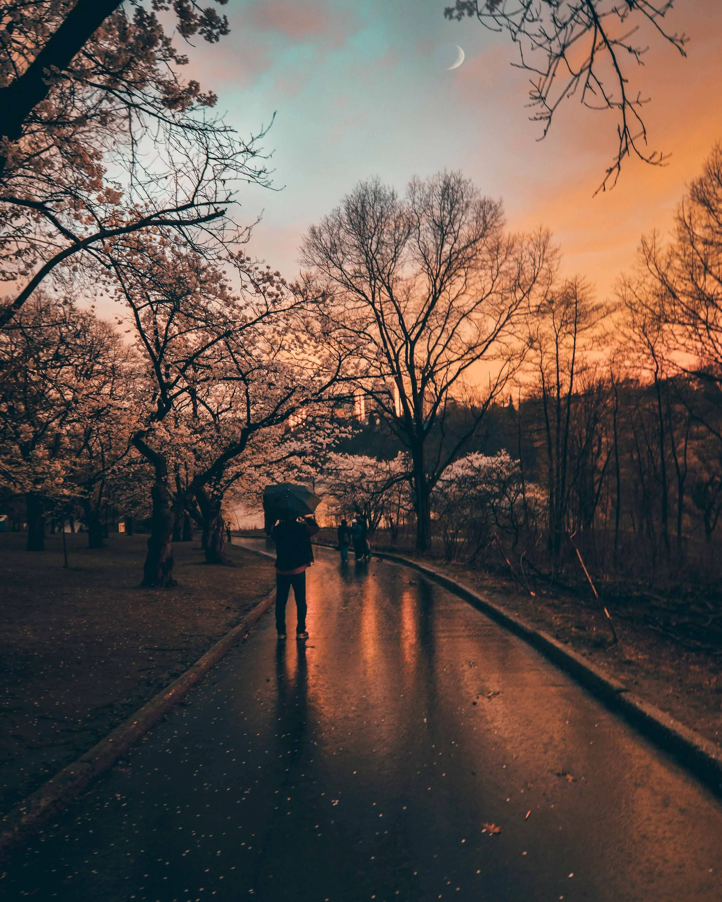 header-11.jpg