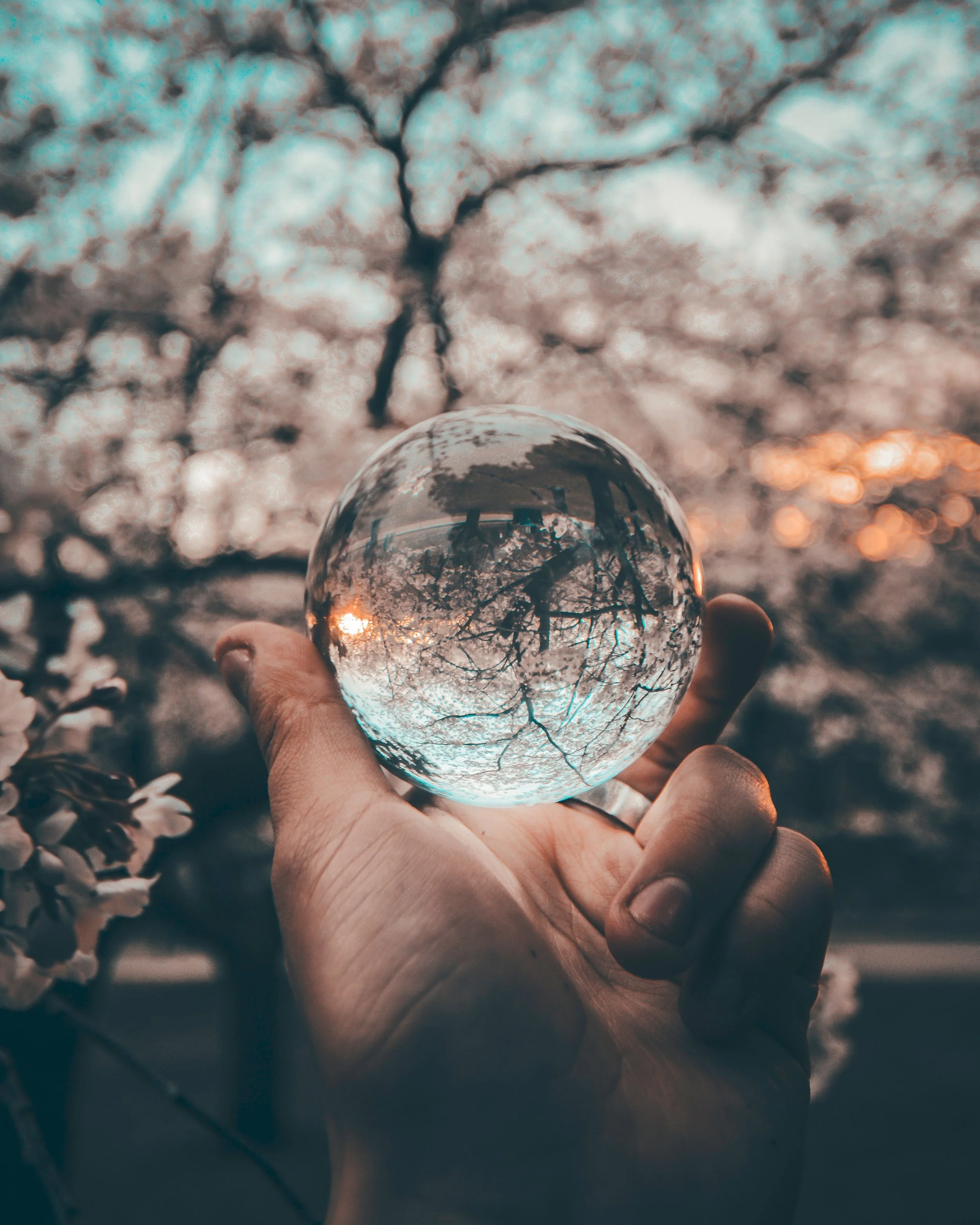 yeshi-kangrang-258234-unsplash.jpg