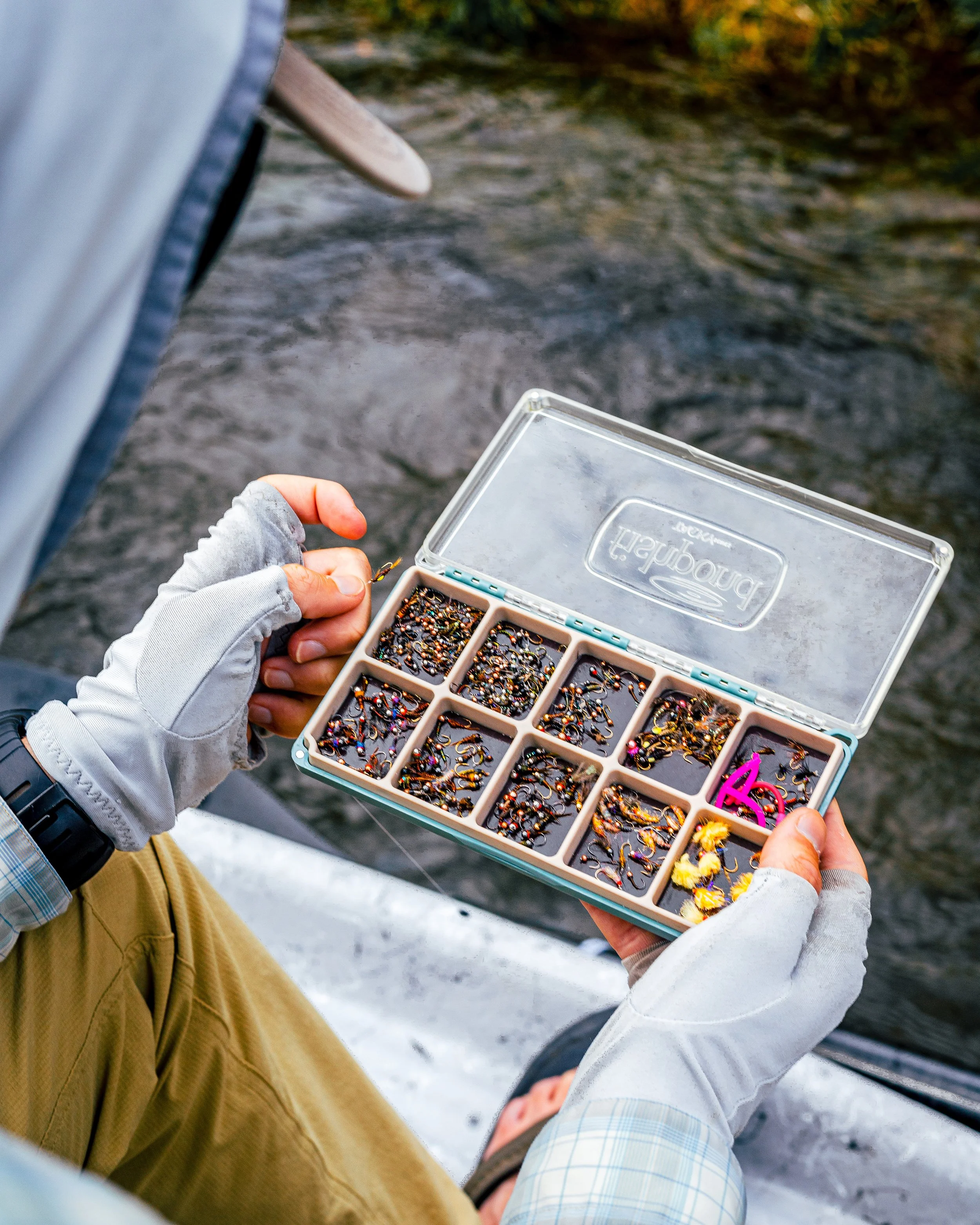 FIVE FLIES FOR DECEMBER