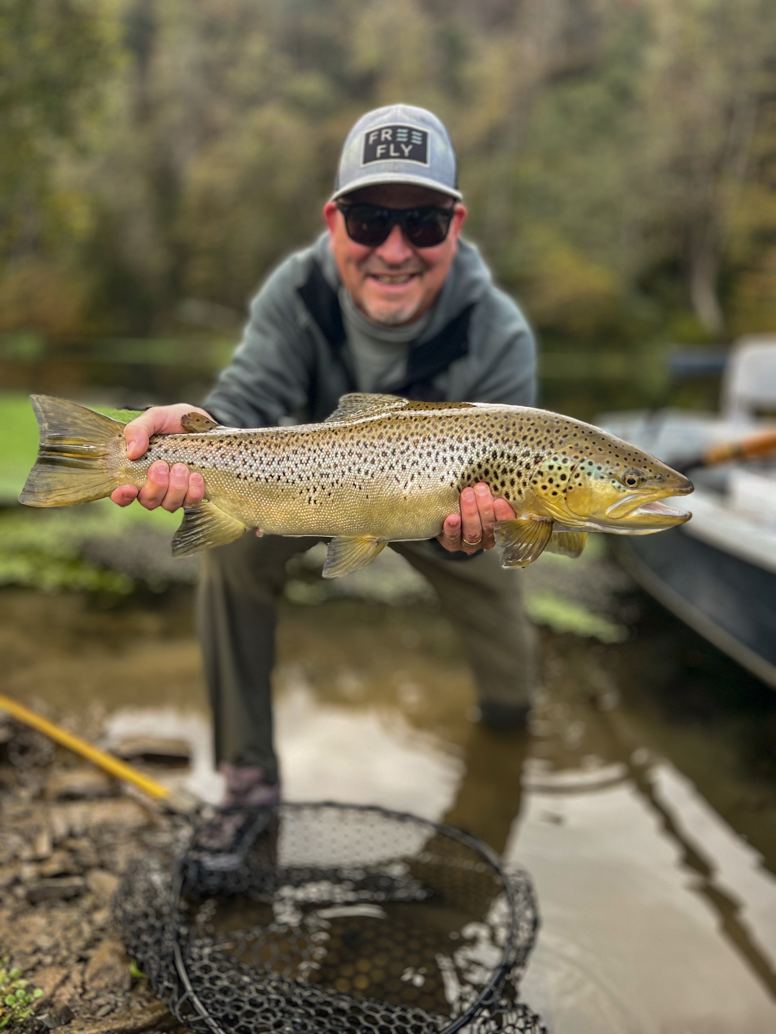A Fall Overview / River Report - South Holston &amp; Watauga Rivers