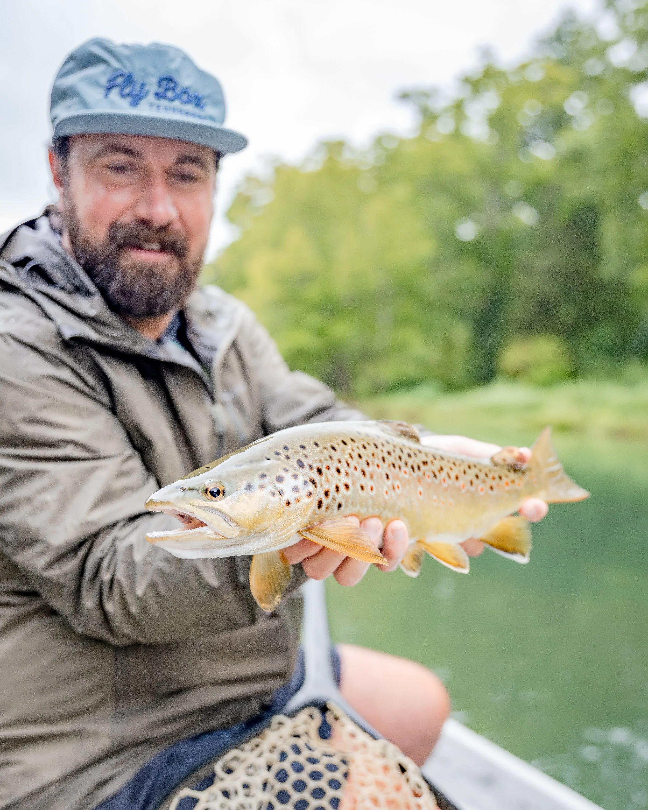 South Holston Brown Trout
