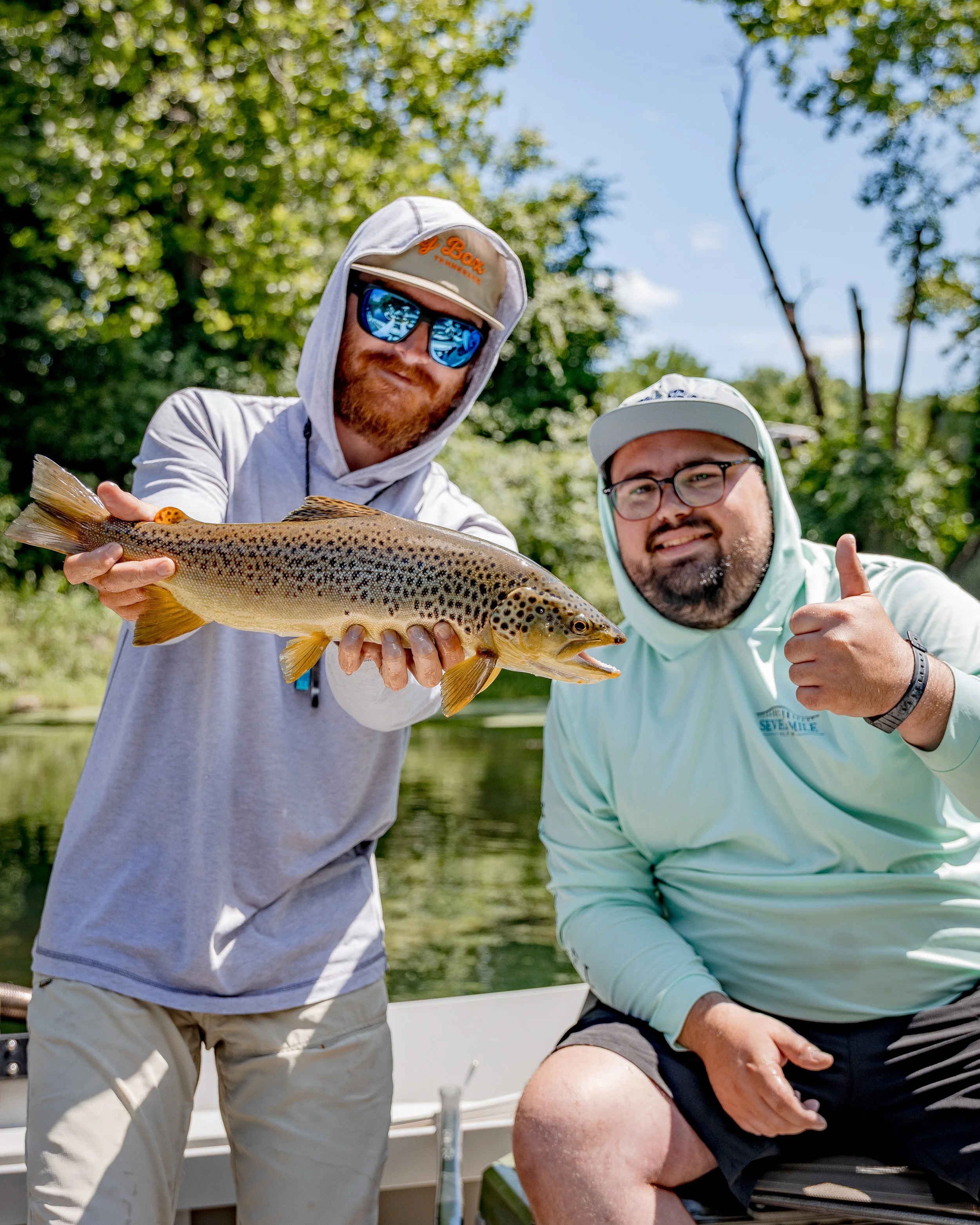 South Holston Brown Trout