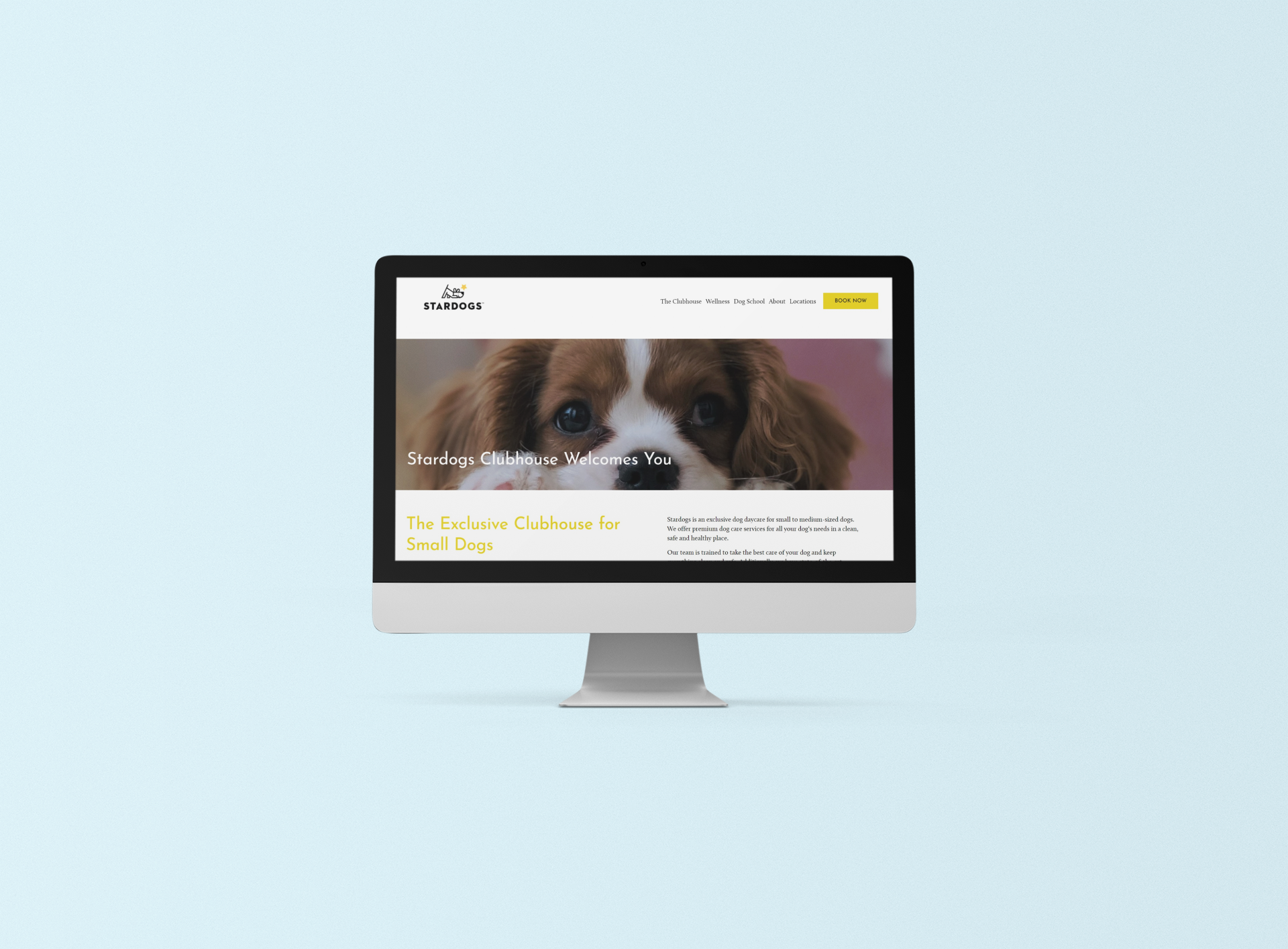 stardogs clubhouse website- squarespace.png