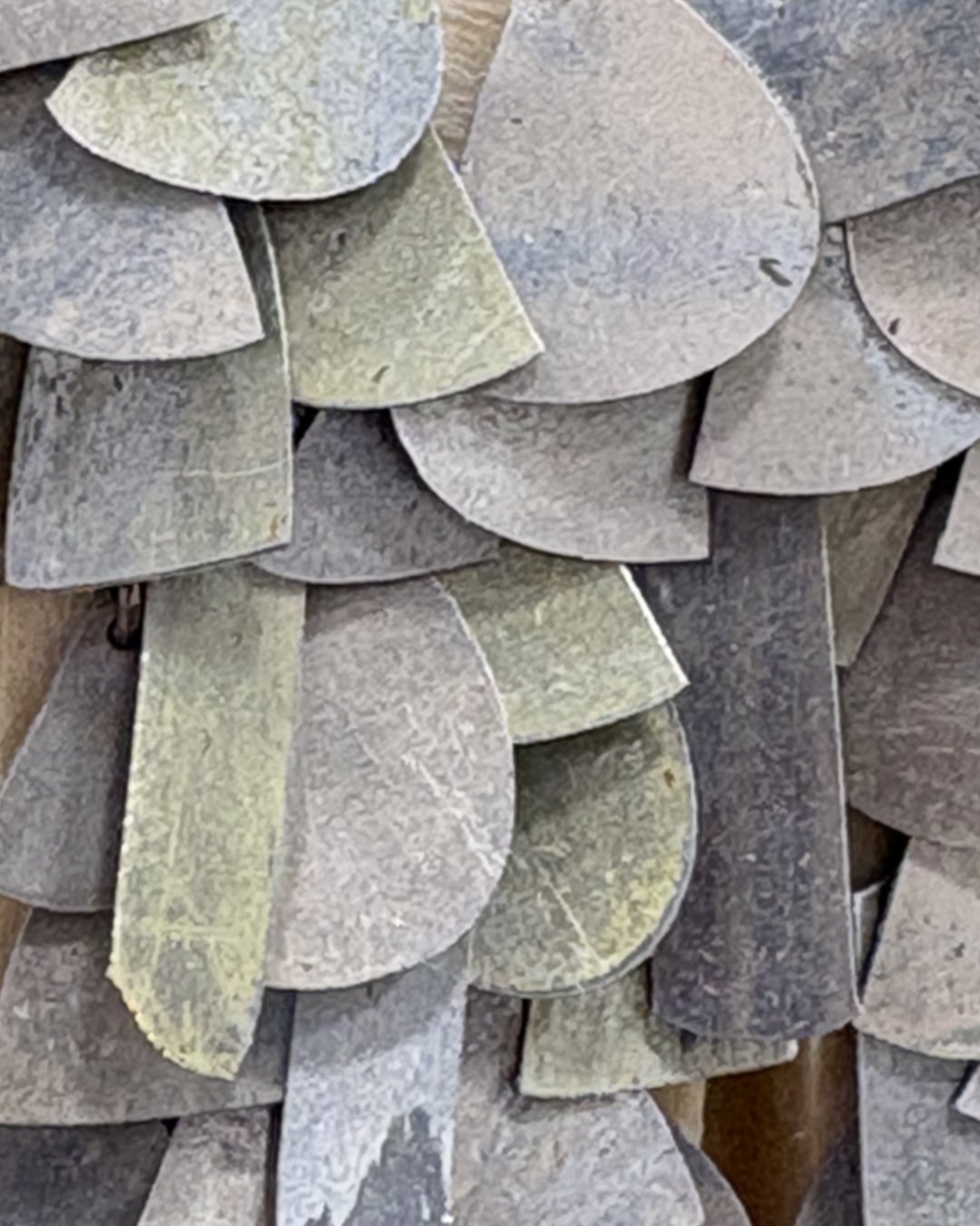 TENDENCIES                                      of Taylor Zarkades King 