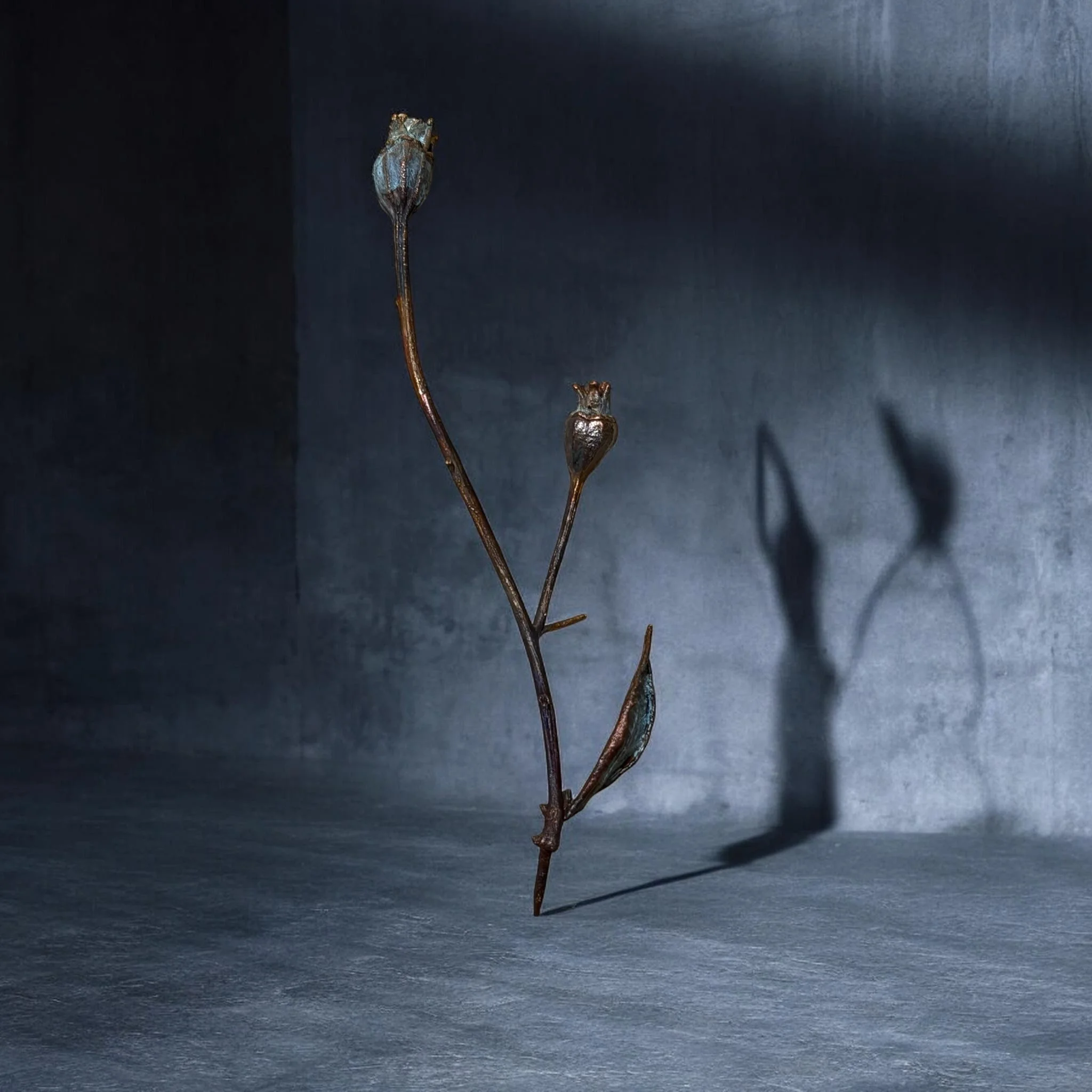 The Immortal Botanica        Soojin Jeong