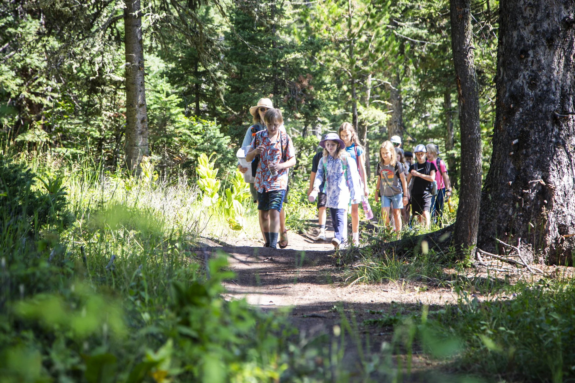 MOSS - Camps - 2025 - LR-6.jpg