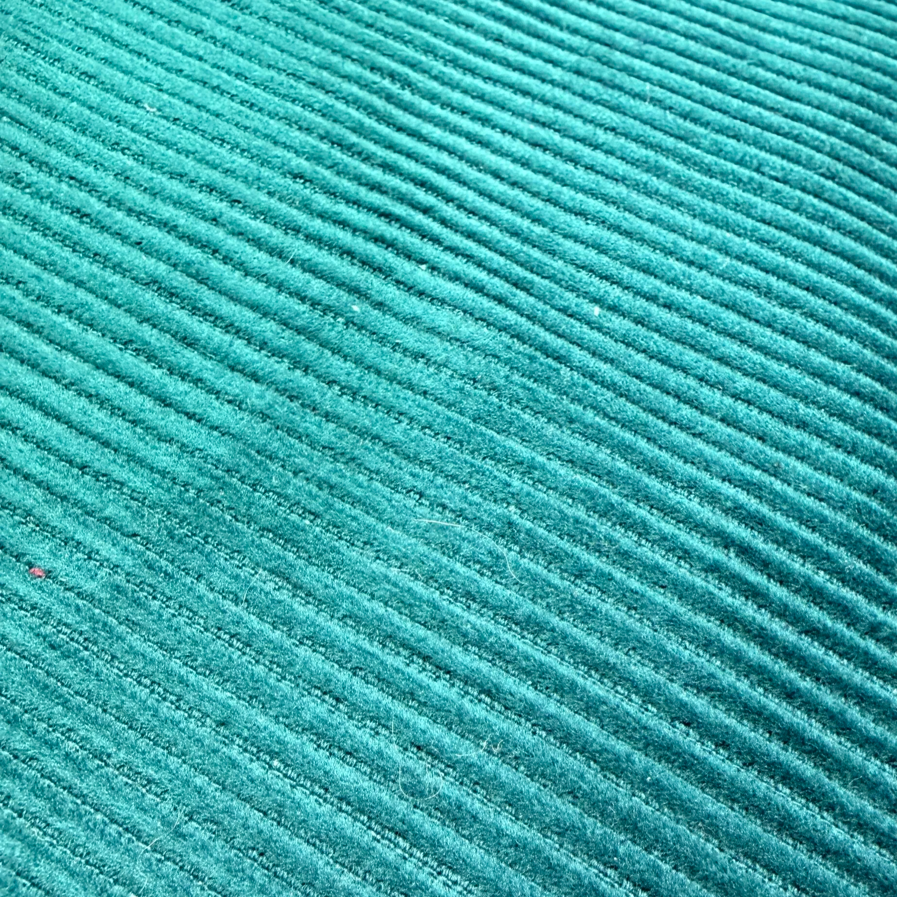 IMG_3369.png