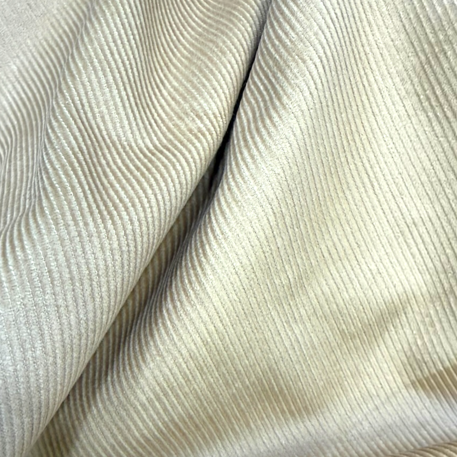 Photoroom_20261006_130822.PNG