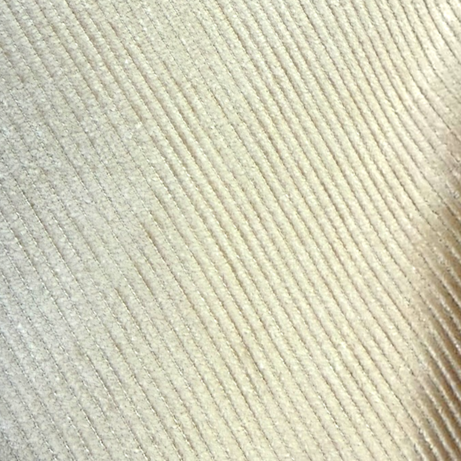 Photoroom_20261006_130923.PNG