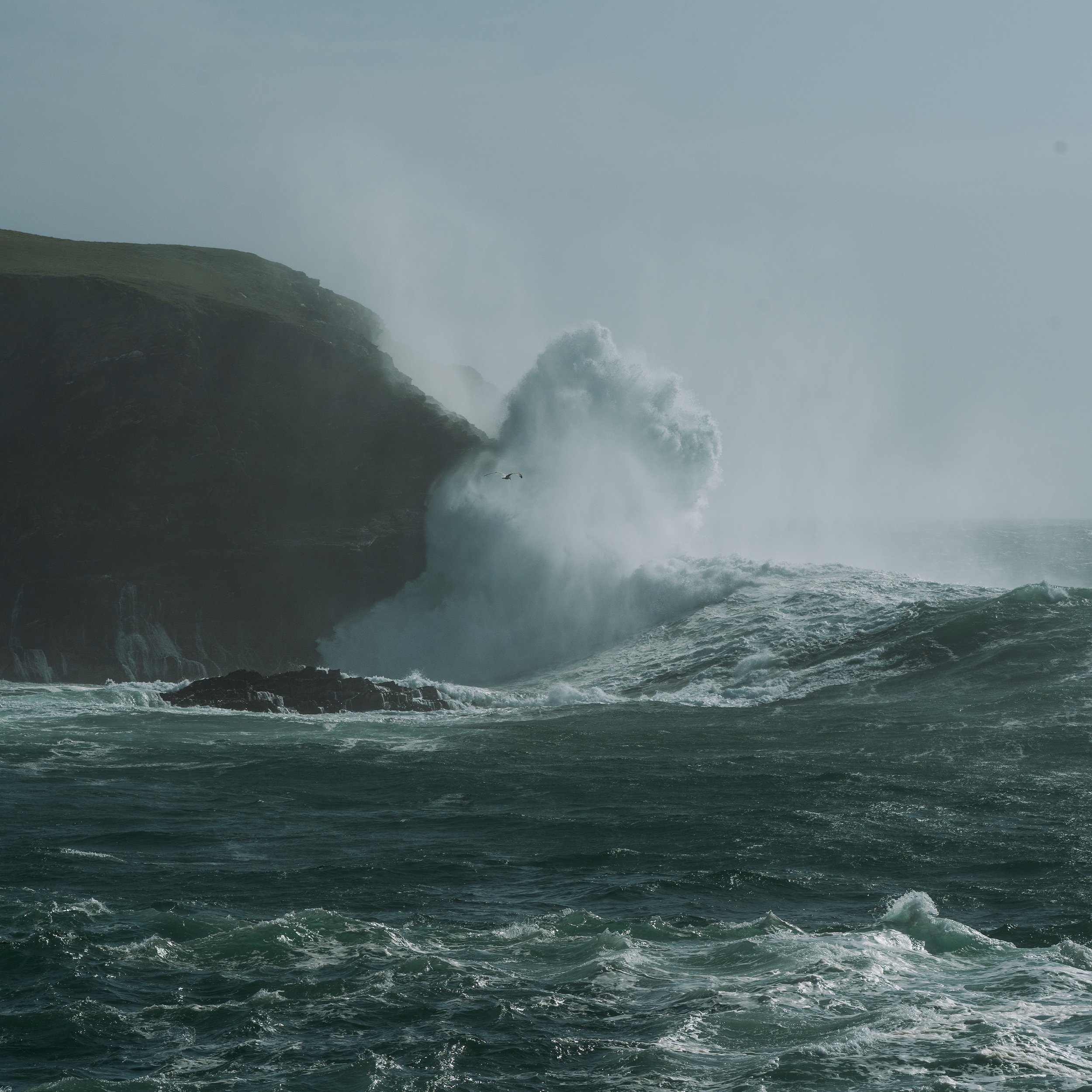 IZY03868.jpg