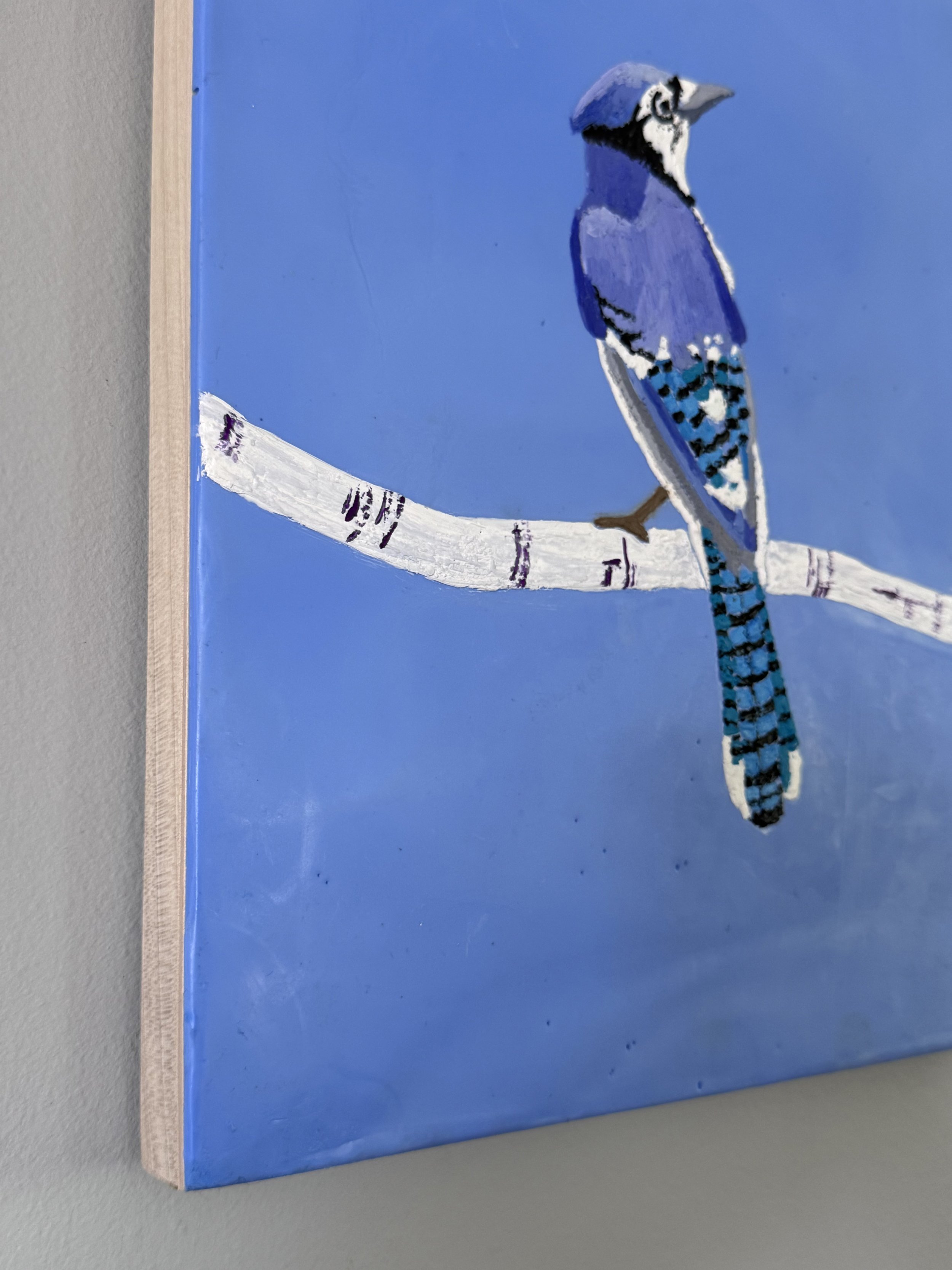 blue-jay-side-view.jpg