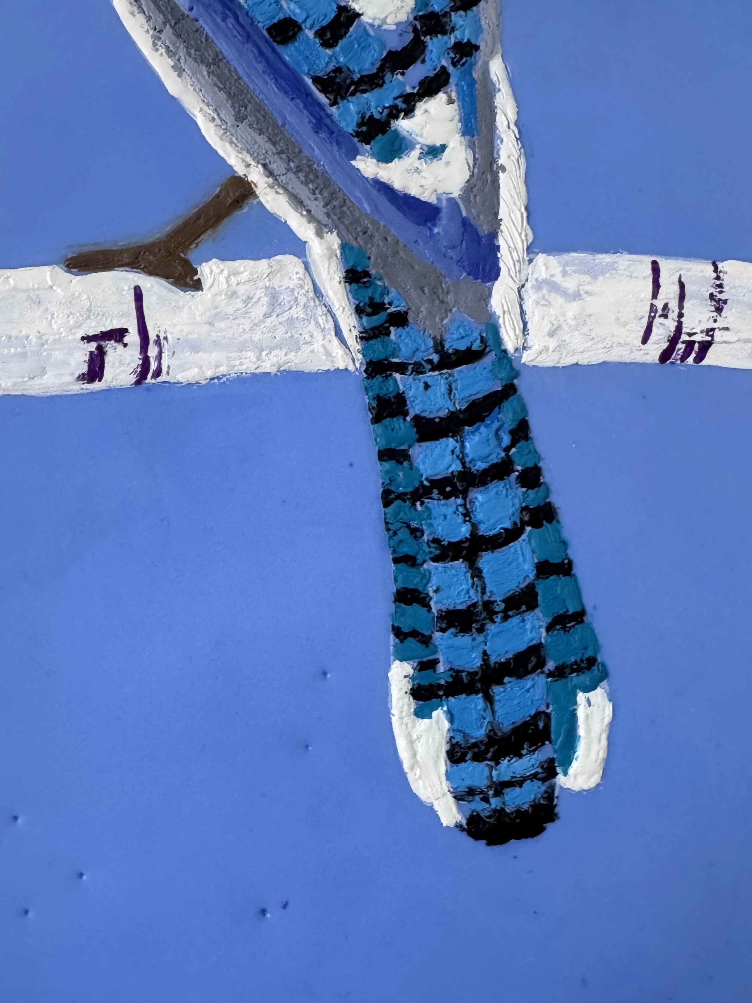 blue-jay-tail.jpg