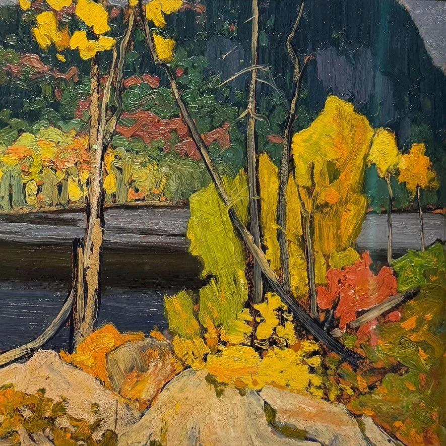New blog post!! A look inside the Northern Lights exhibit at the Buffalo AKG Museum. This exhibit features 71 paintings that capture the ever-shifting light and unspoiled beauty of the North, particularly the boreal forests, and are some of the most 