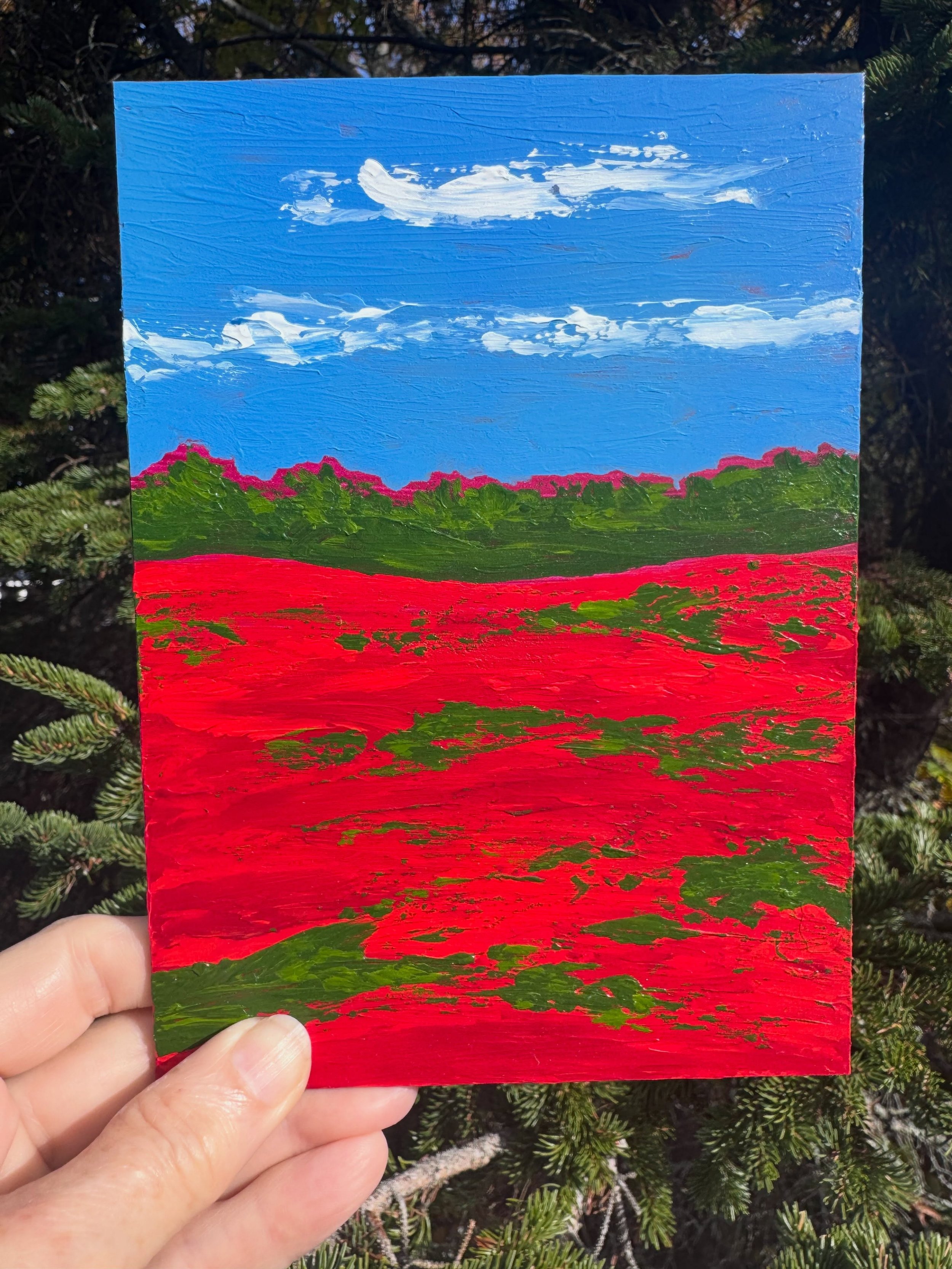 I&rsquo;ve been so inspired by the blueberry barrens photos in my feed recently that I decided to do another small barrens painting. This one&rsquo;s just 7&rdquo; x 5&rdquo;. I&rsquo;ll be framing it today and adding it to the No Place Like Maine se