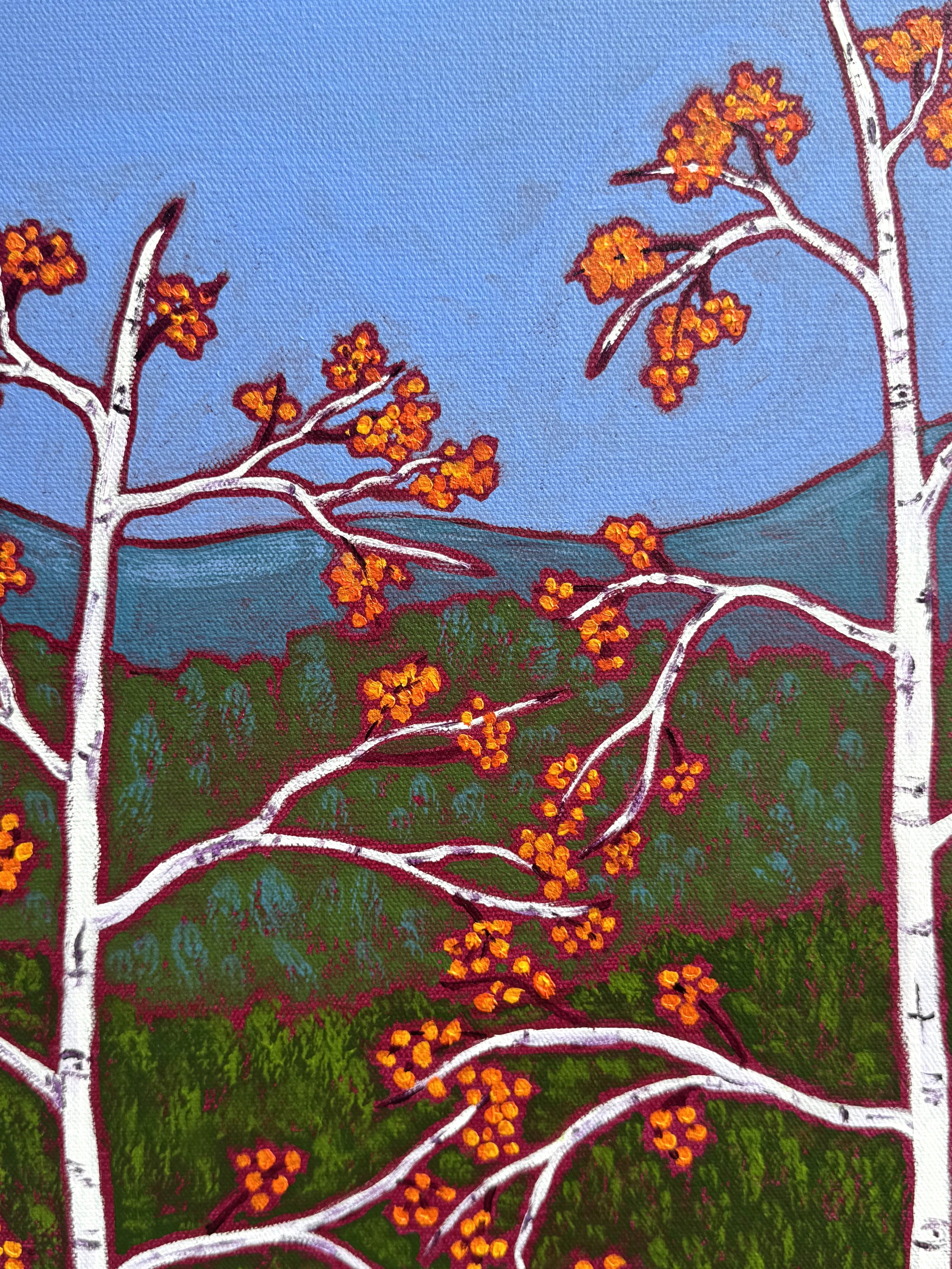 birch trees with orange leaves at peak foliage in new england