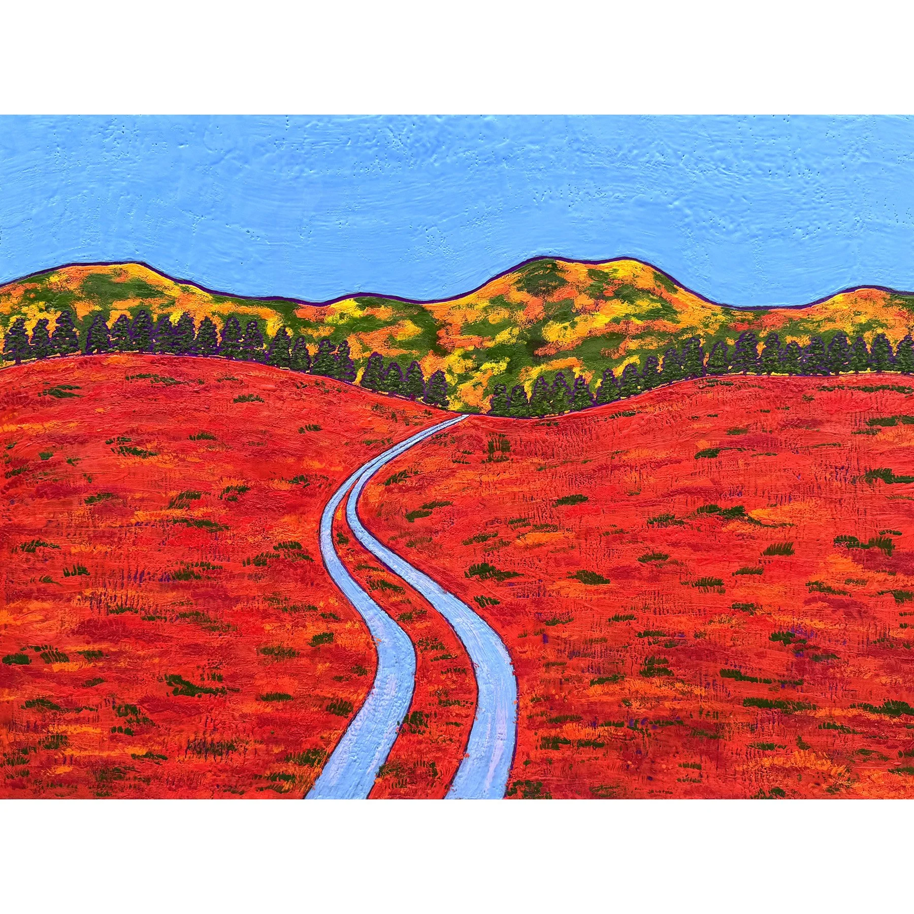 blueberry-barrens.jpg