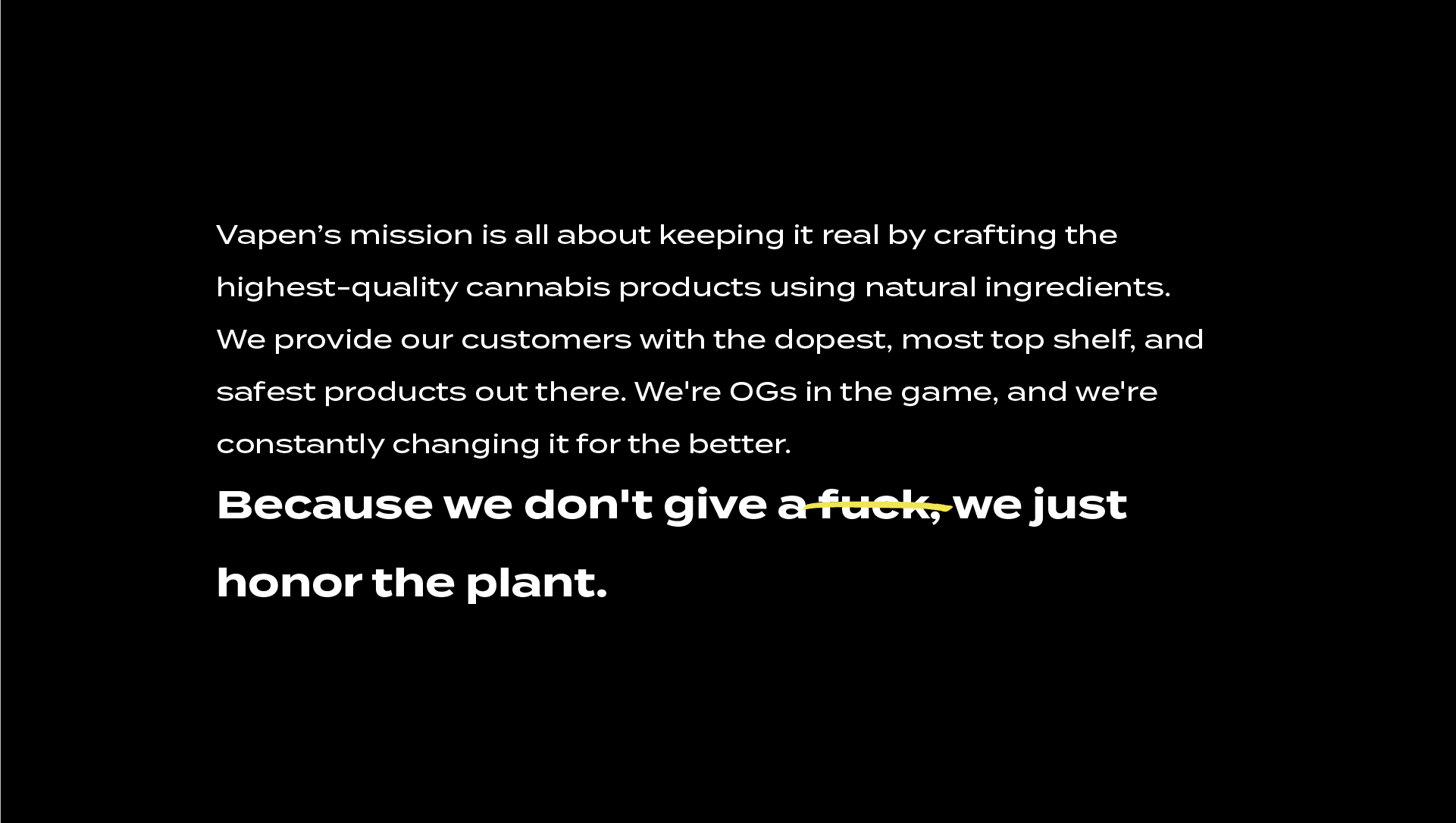 VAPEN Full Brand Guide_Mission.png