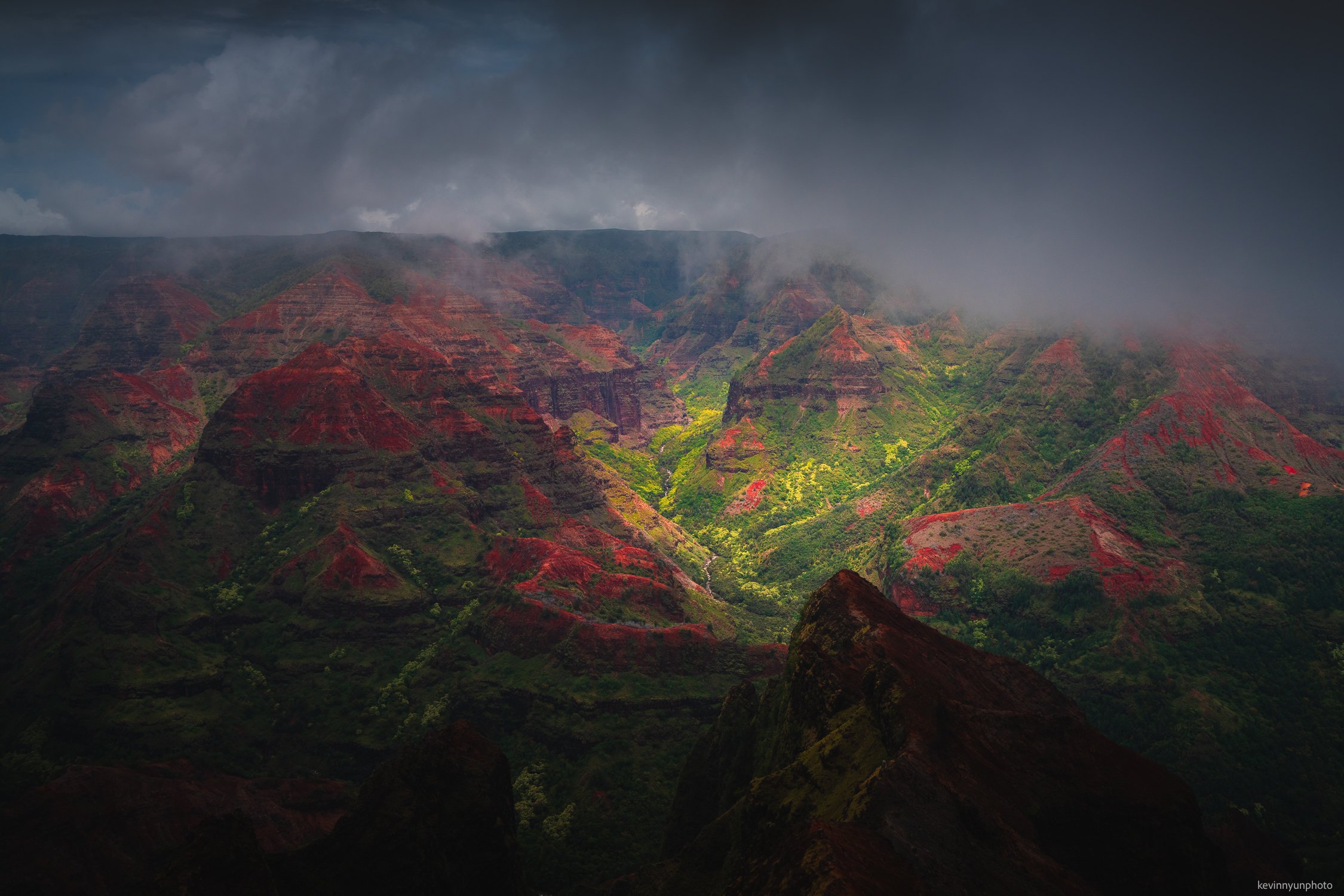 A-LN_Kevin-Nyun_Waimea-Canyon-1 copy.jpg
