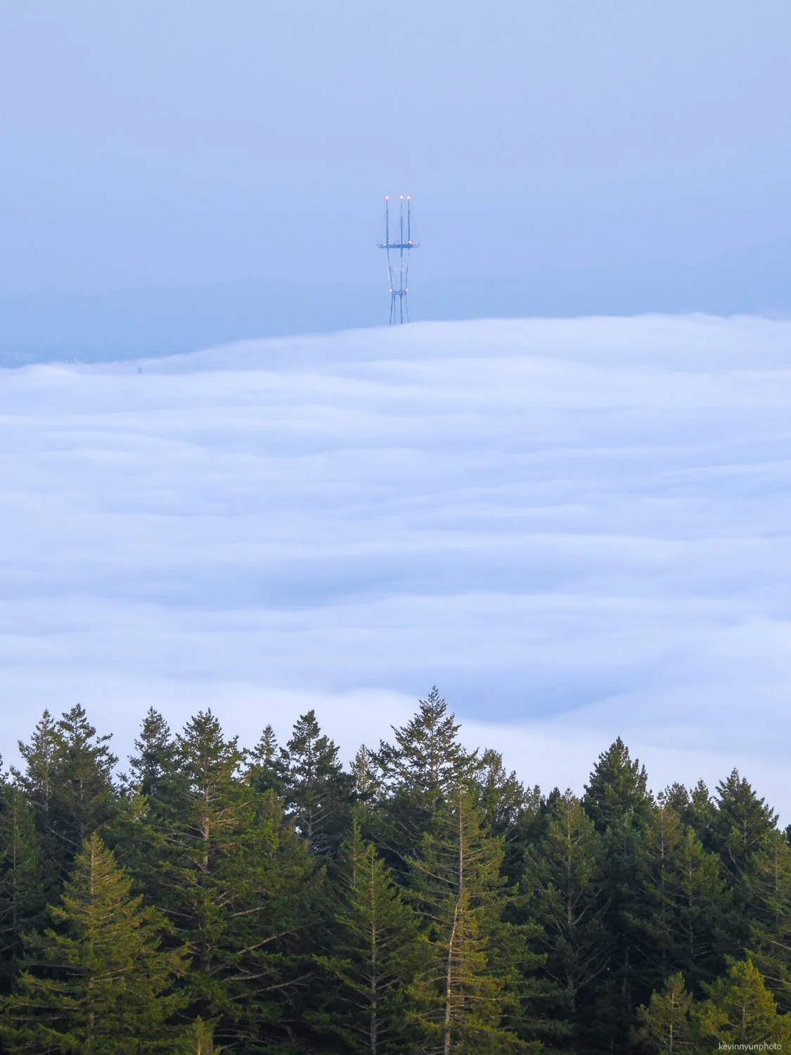 A-LN_Kevin-Nyun_Sutro-Tower-Tam-1.jpg