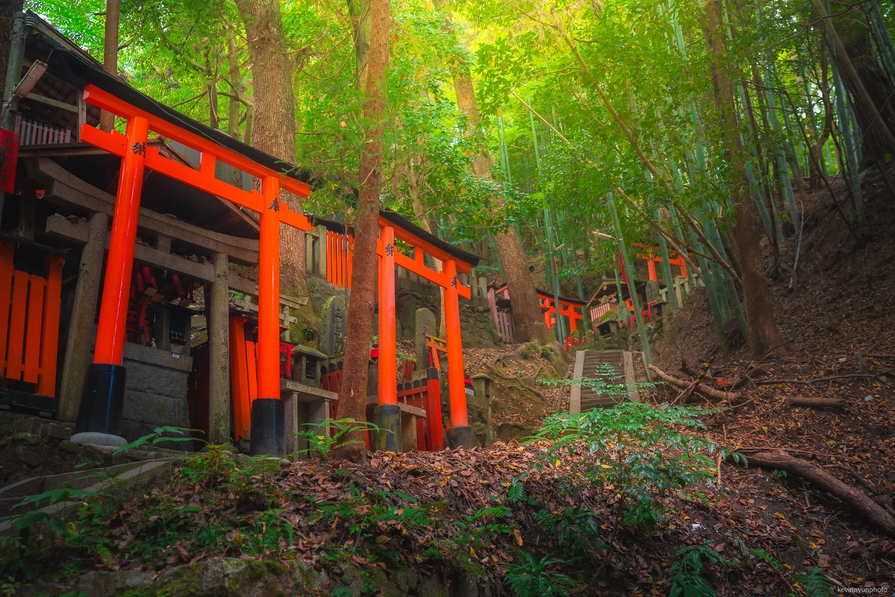 A-LN_Kevin-Nyun_Inari-1.jpg