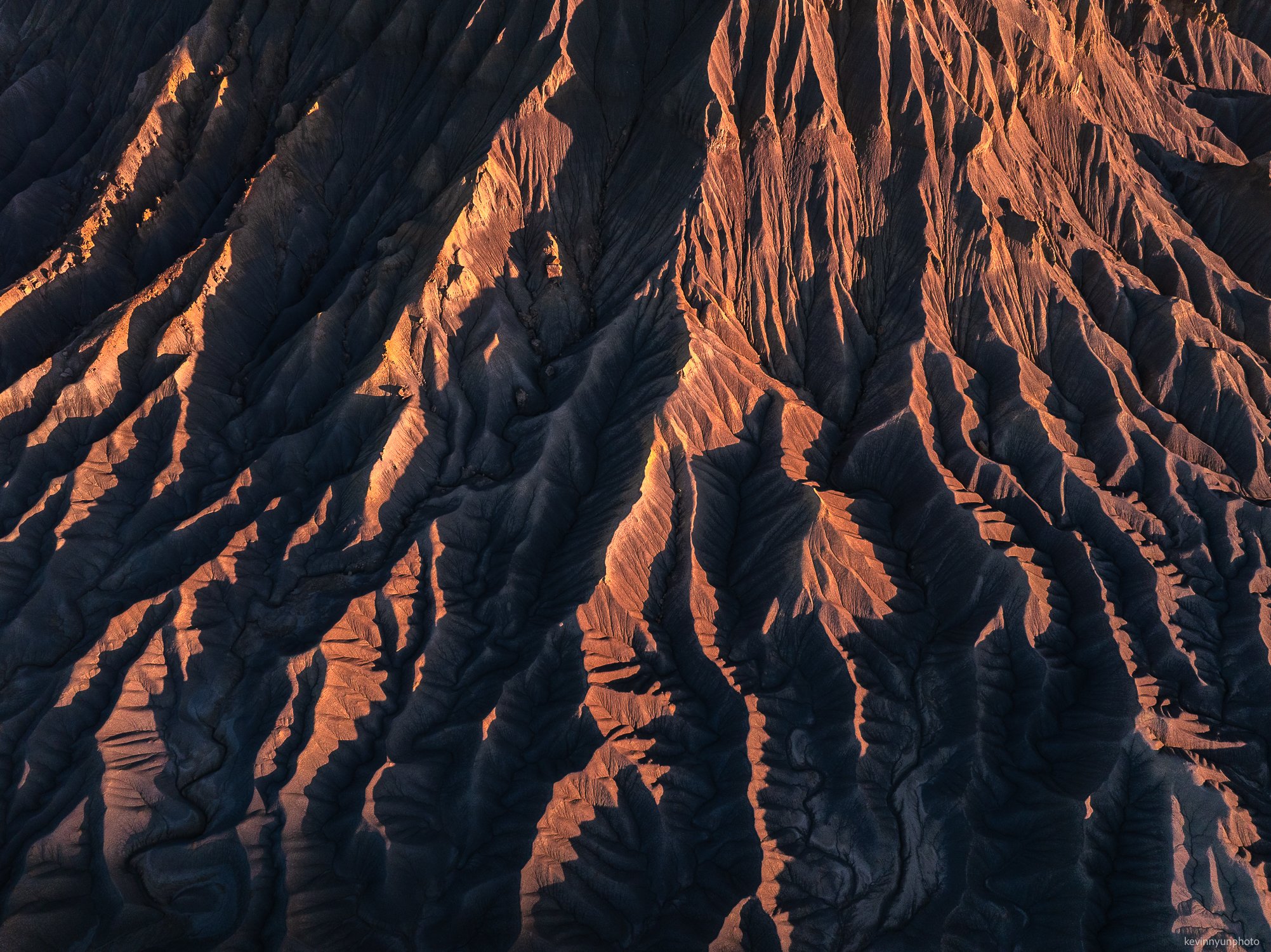 A-LN_Kevin-Nyun_Canineville-Textures-3.jpg