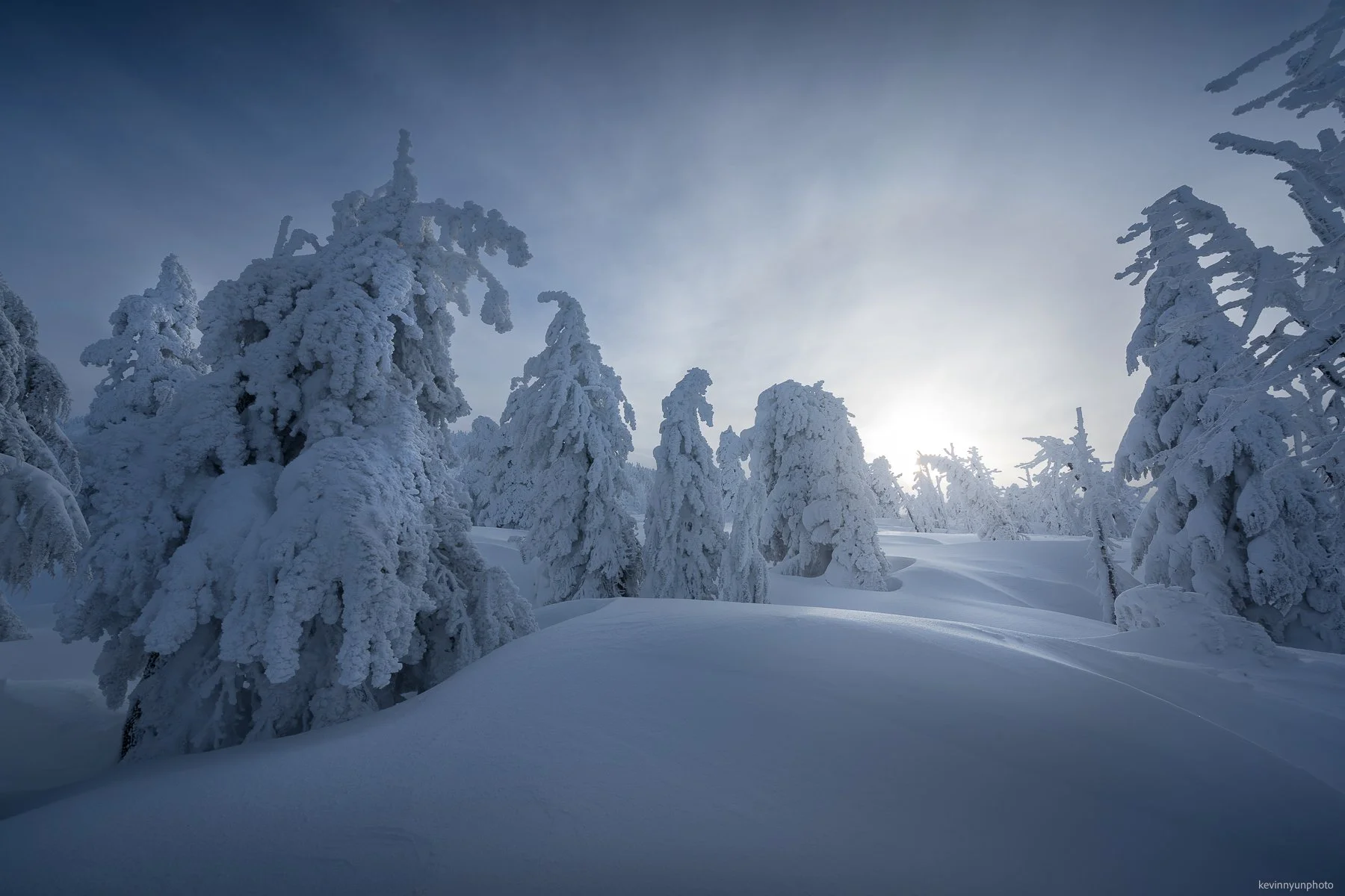 A-LN_Kevin-Nyun_Frozen-Trees-1.JPG