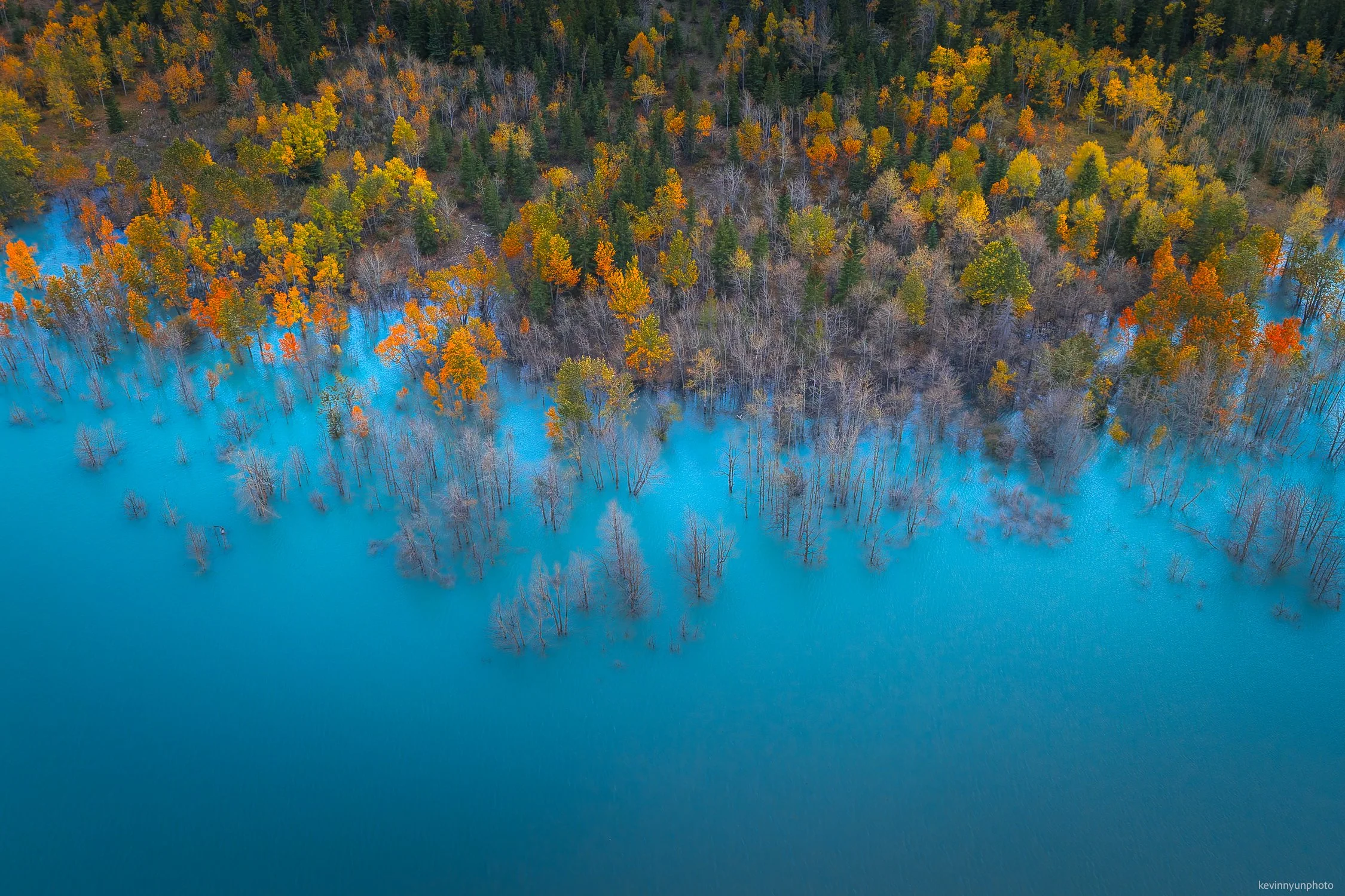 A-LN_Kevin-Nyun_Aspens-1.jpg