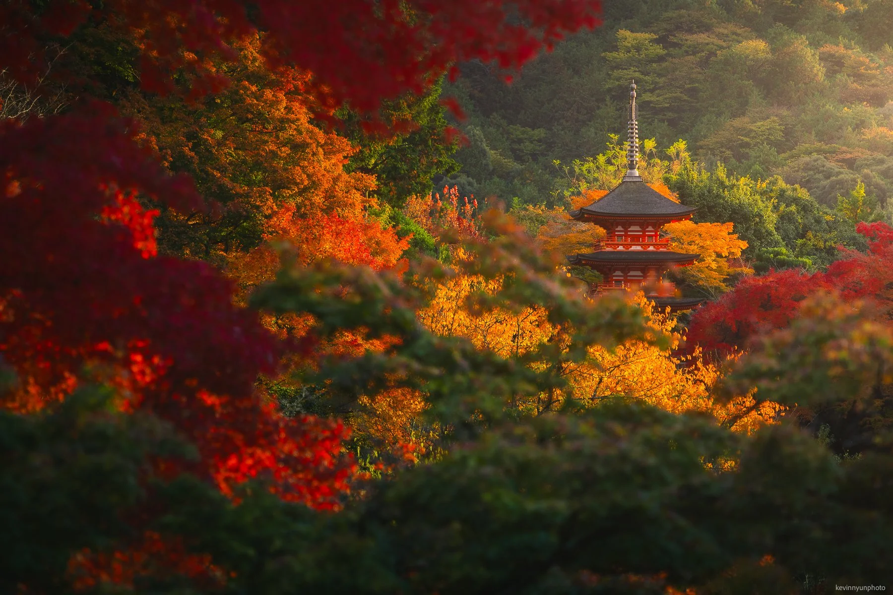 A-LN_Kevin-Nyun_Kiyomizu-1.jpg