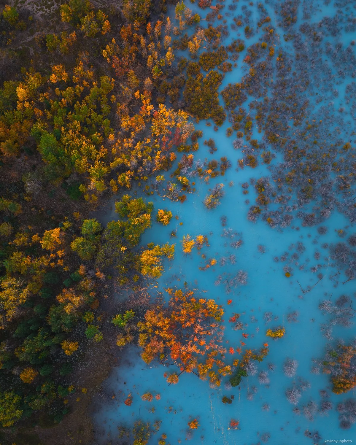 A-LN_Kevin-Nyun_Aspens-2.jpg