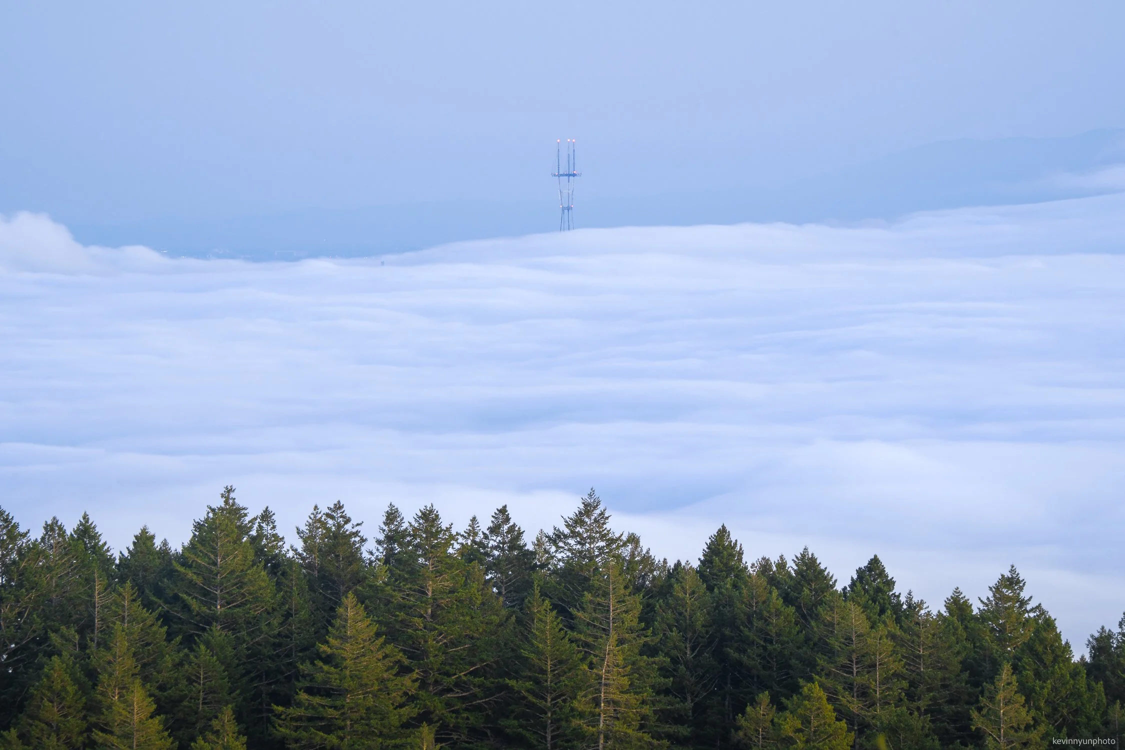 A-LN_Kevin-Nyun_Sutro-Tower-Tam-2.jpg