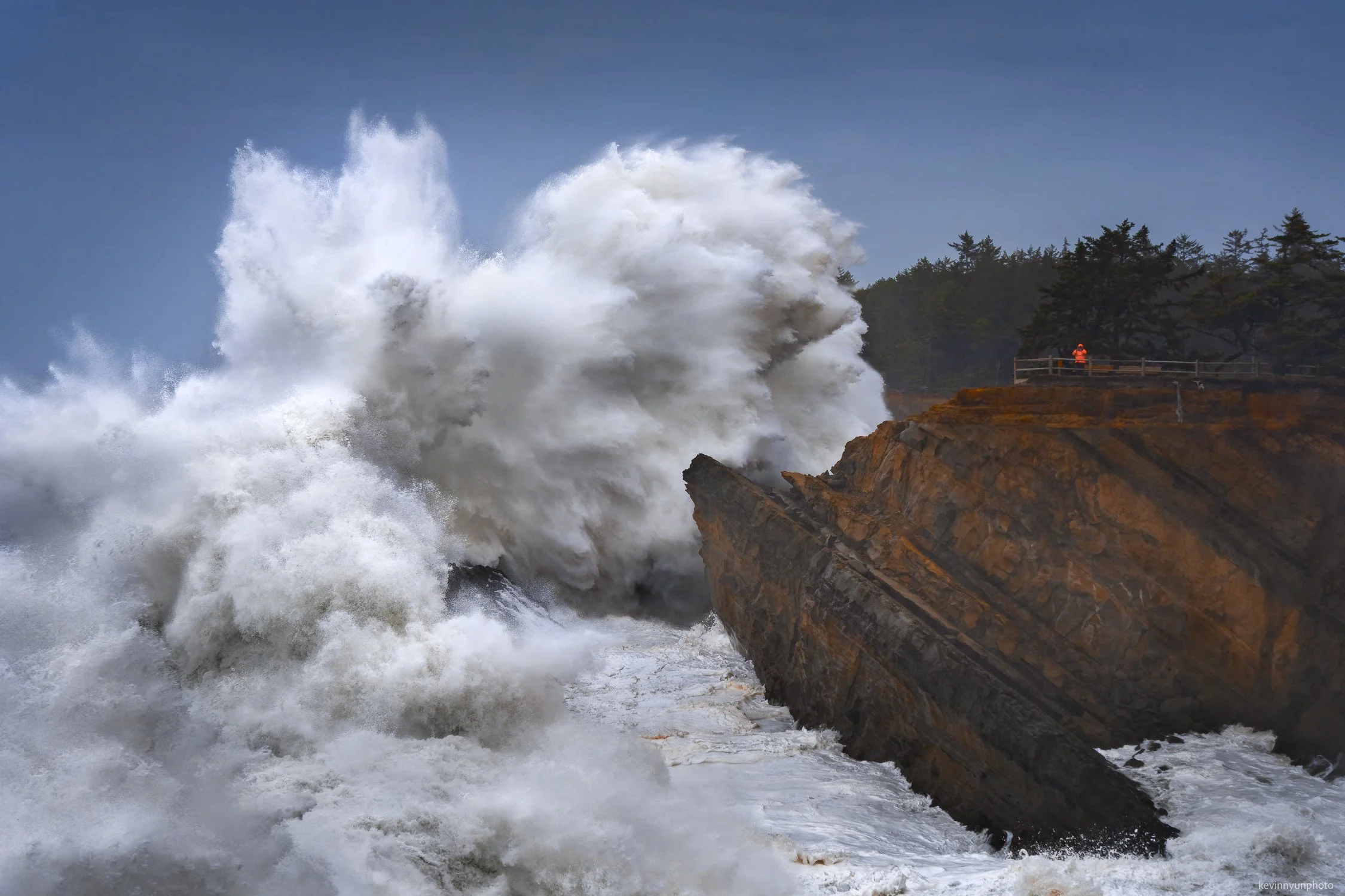 A-LN_Kevin-Nyun_Shore-Acre-1.jpg