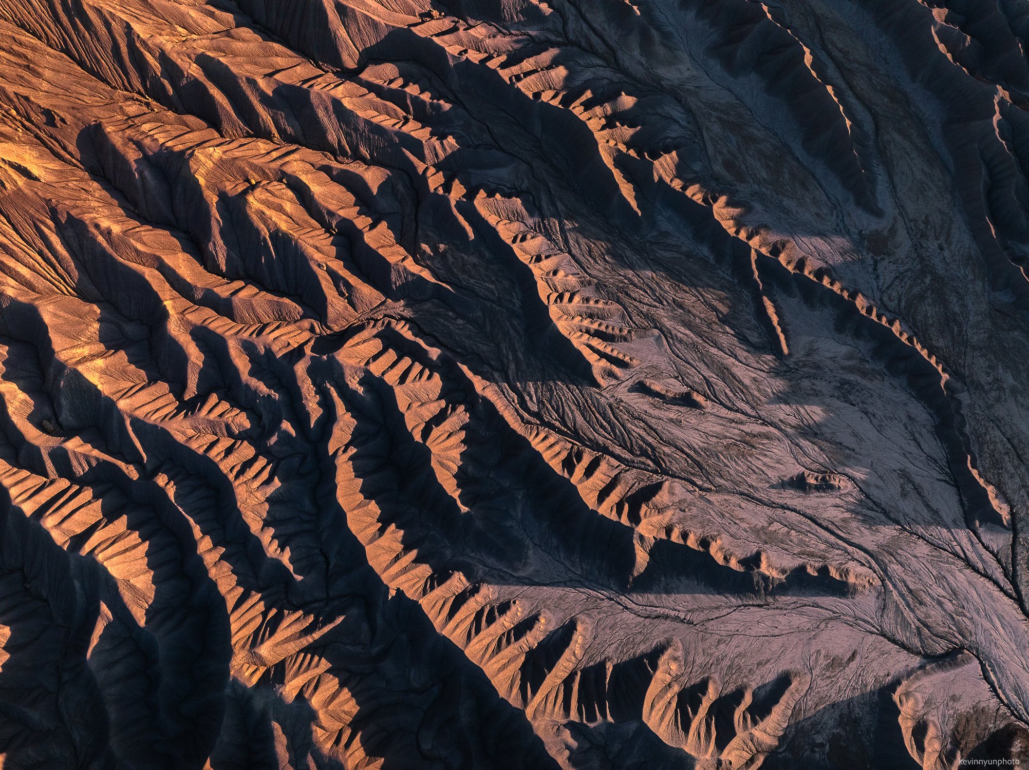 A-LN_Kevin-Nyun_Canineville-Textures-2.jpg