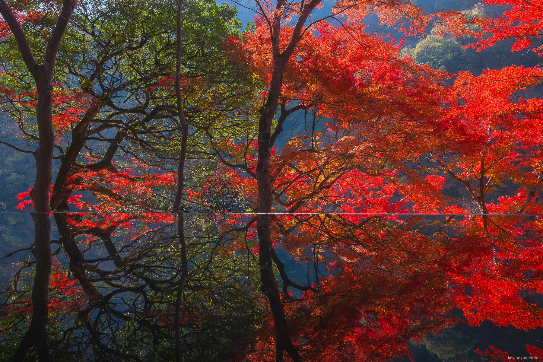 A-LN_Kevin-Nyun_Arashiyama-3.jpg