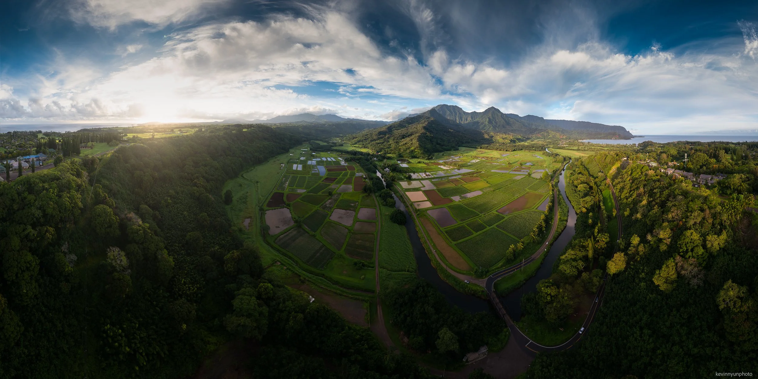 A-LN_Kevin-Nyun_Taro-Pano-1.jpg